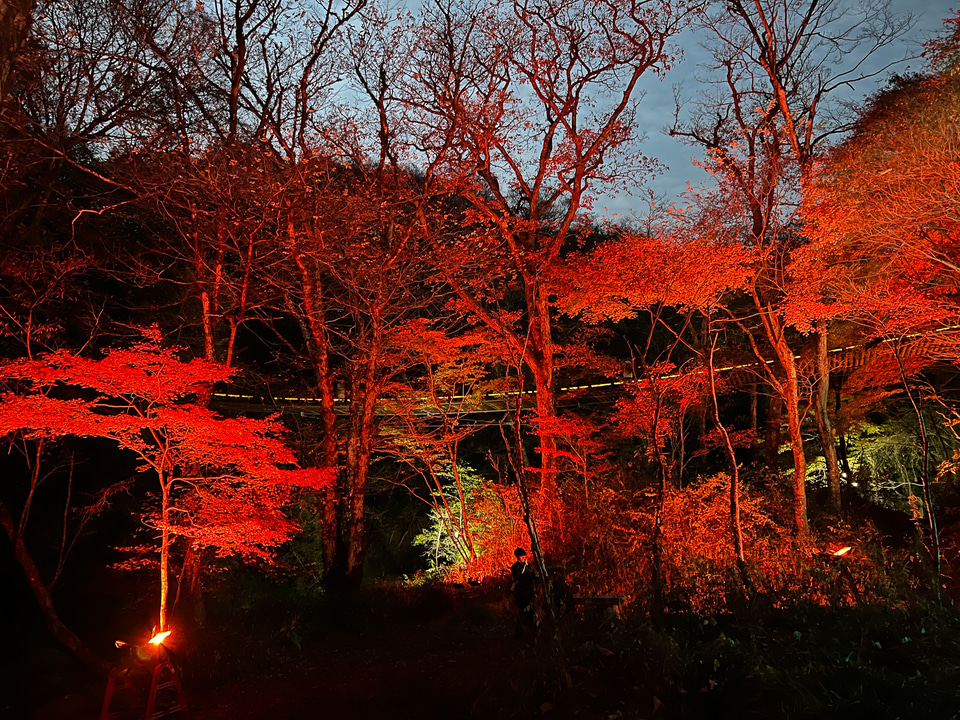【ボーカリスト琴音の音楽旅】茨城県花貫渓谷は最高の紅葉スポット! キャンプ場でBBQ、温泉で冬直前の秋を満喫 - トラベル Watch