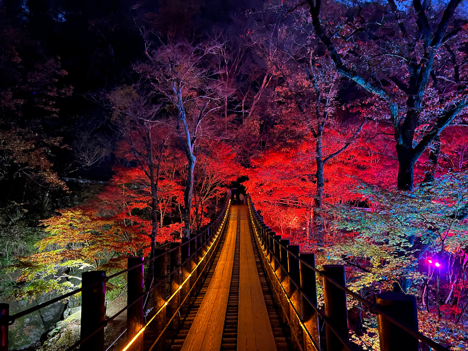 ボーカリスト琴音の音楽旅】茨城県花貫渓谷は最高の紅葉スポット