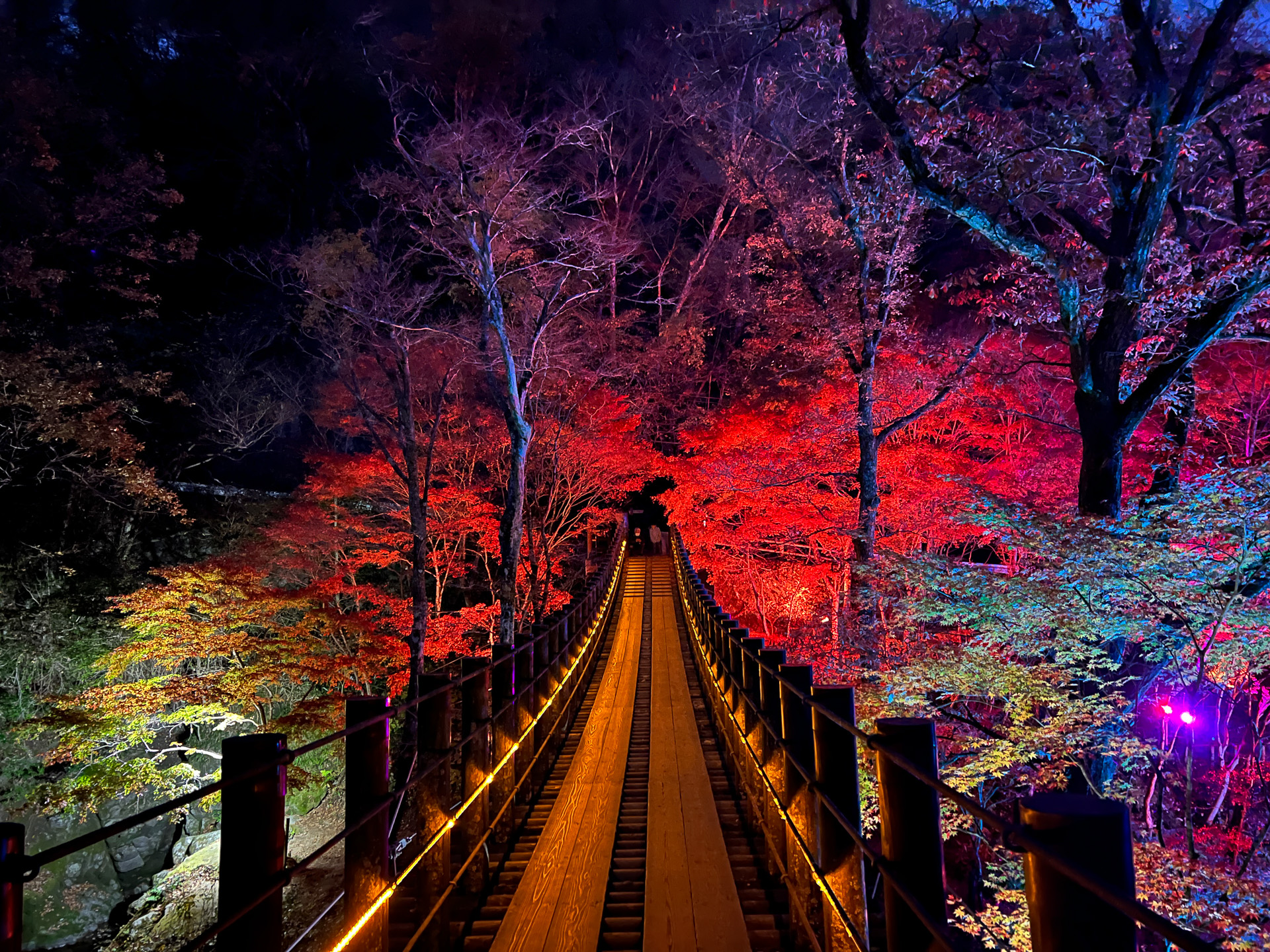 吊り橋と紅葉、まるで夢か幻か、幽玄な日本の美