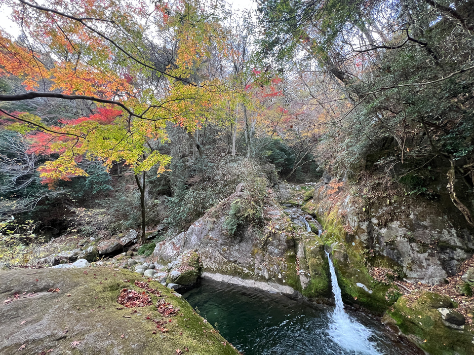 【ボーカリスト琴音の音楽旅】茨城県花貫渓谷は最高の紅葉スポット！ キャンプ場でBBQ、温泉で冬直前の秋を満喫 - トラベル Watch