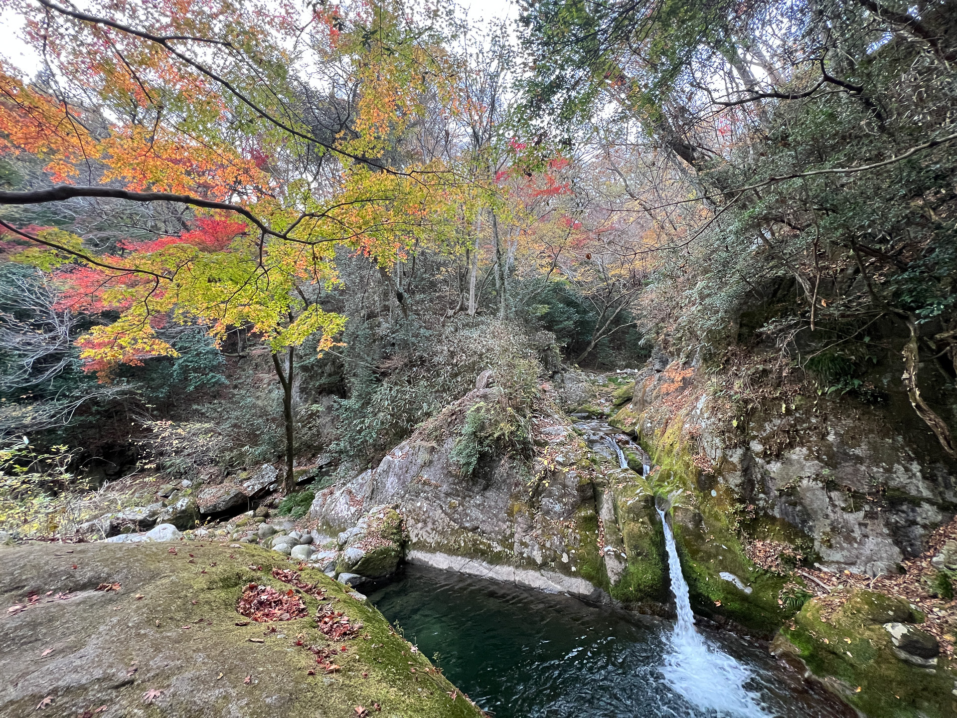 汐見滝と紅葉