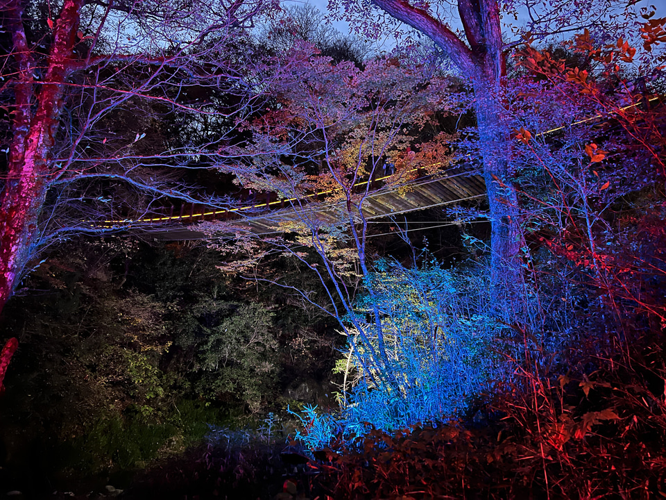 【ボーカリスト琴音の音楽旅】茨城県花貫渓谷は最高の紅葉スポット！ キャンプ場でBBQ、温泉で冬直前の秋を満喫 - トラベル Watch