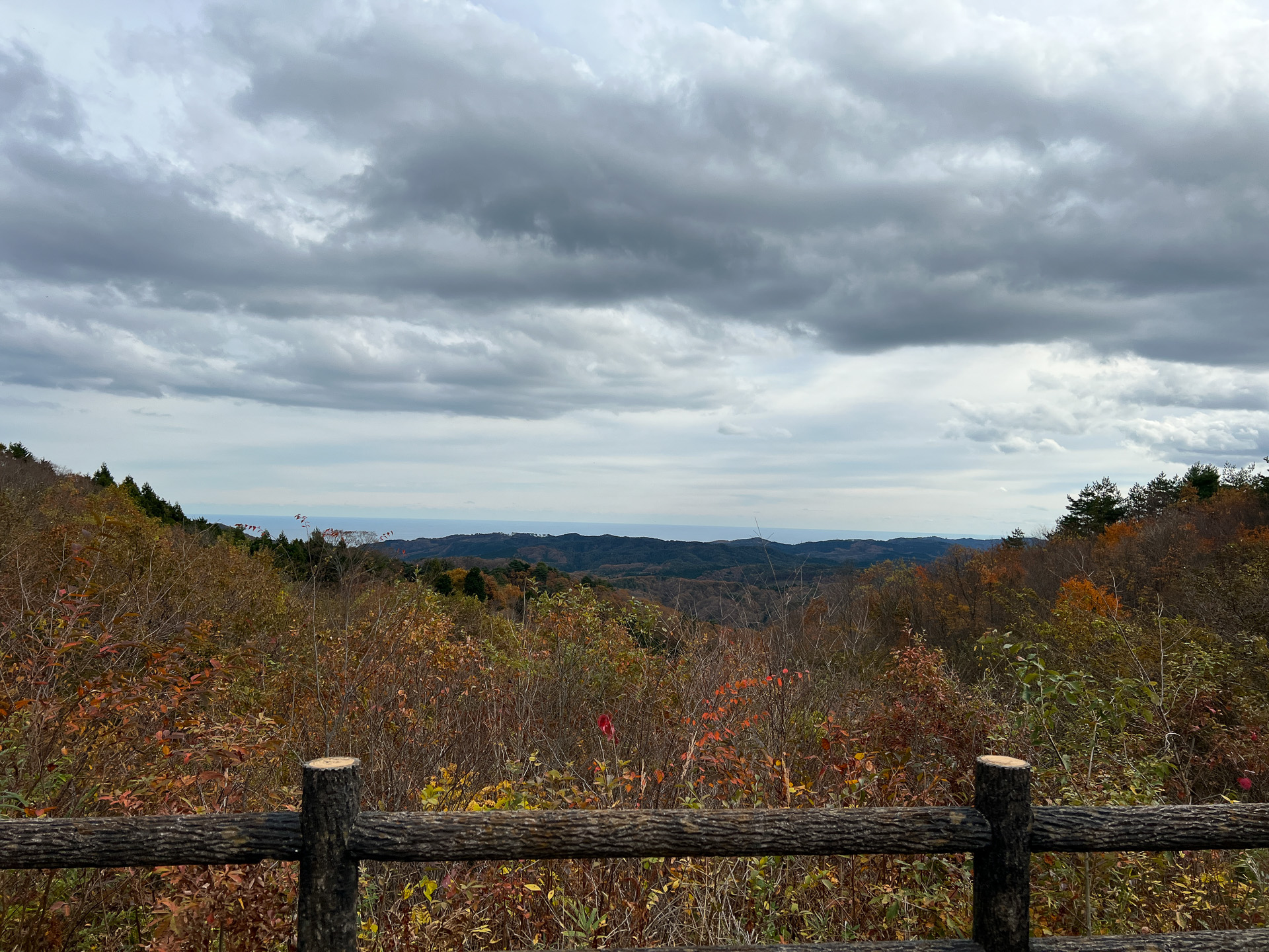 キャンプ場から海が見えるけやき台キャンプ場