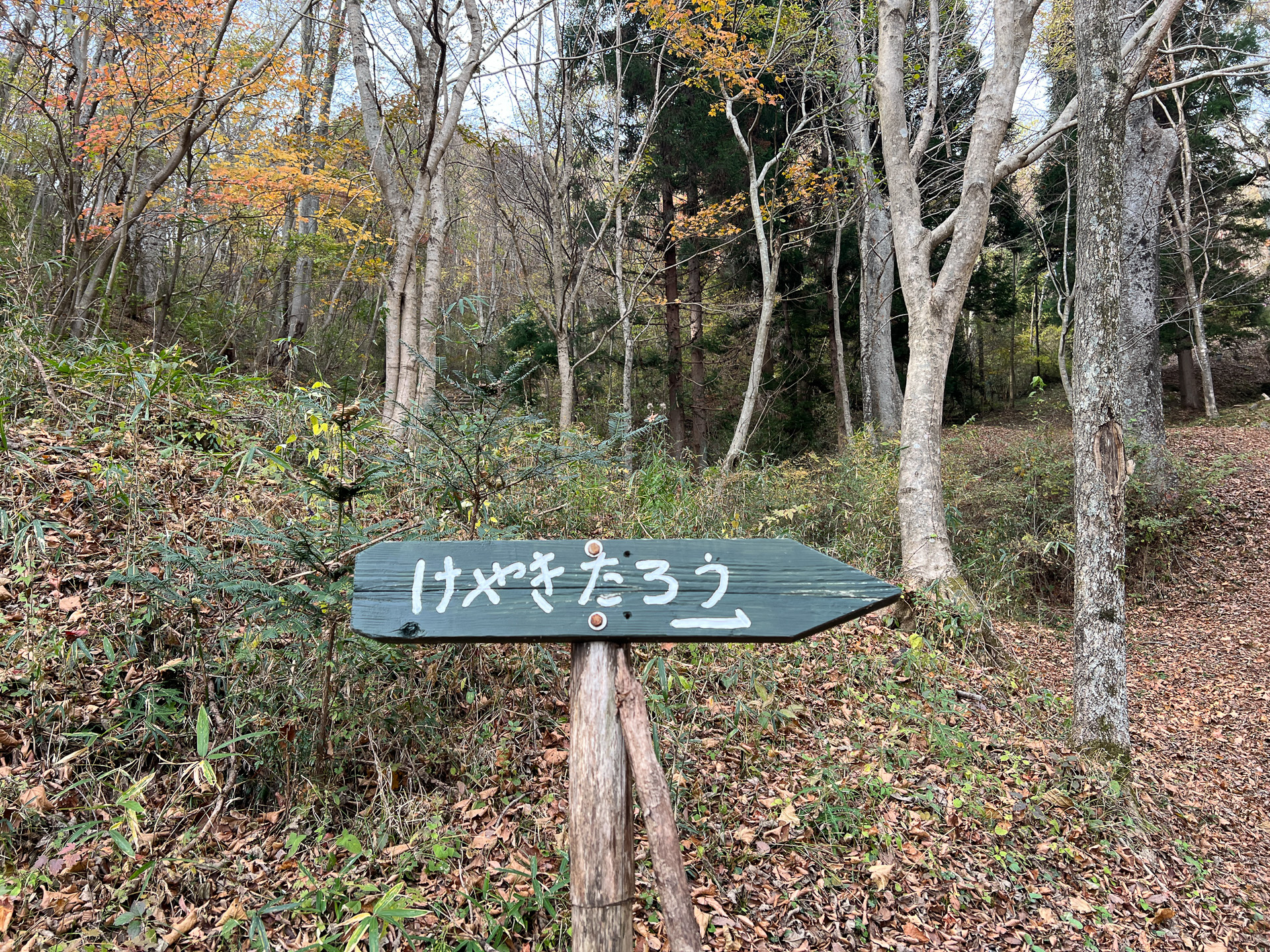 雄大なけやき太郎、案内板の文字にも癒されます