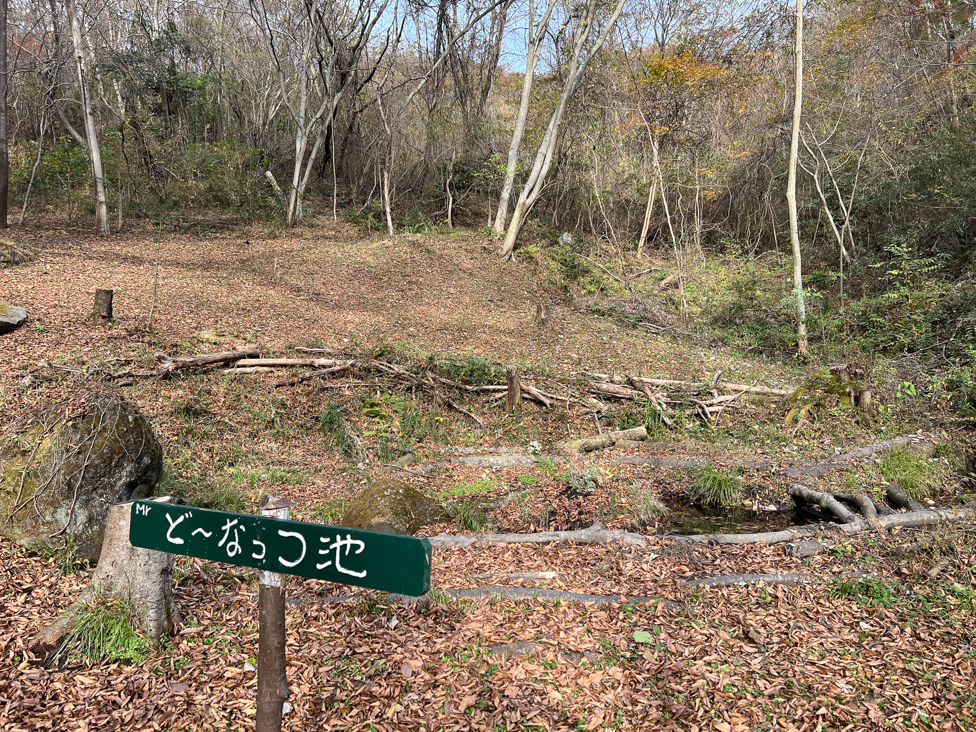 Mr.ど～なっつ沼、ネーミングセンスよすぎ