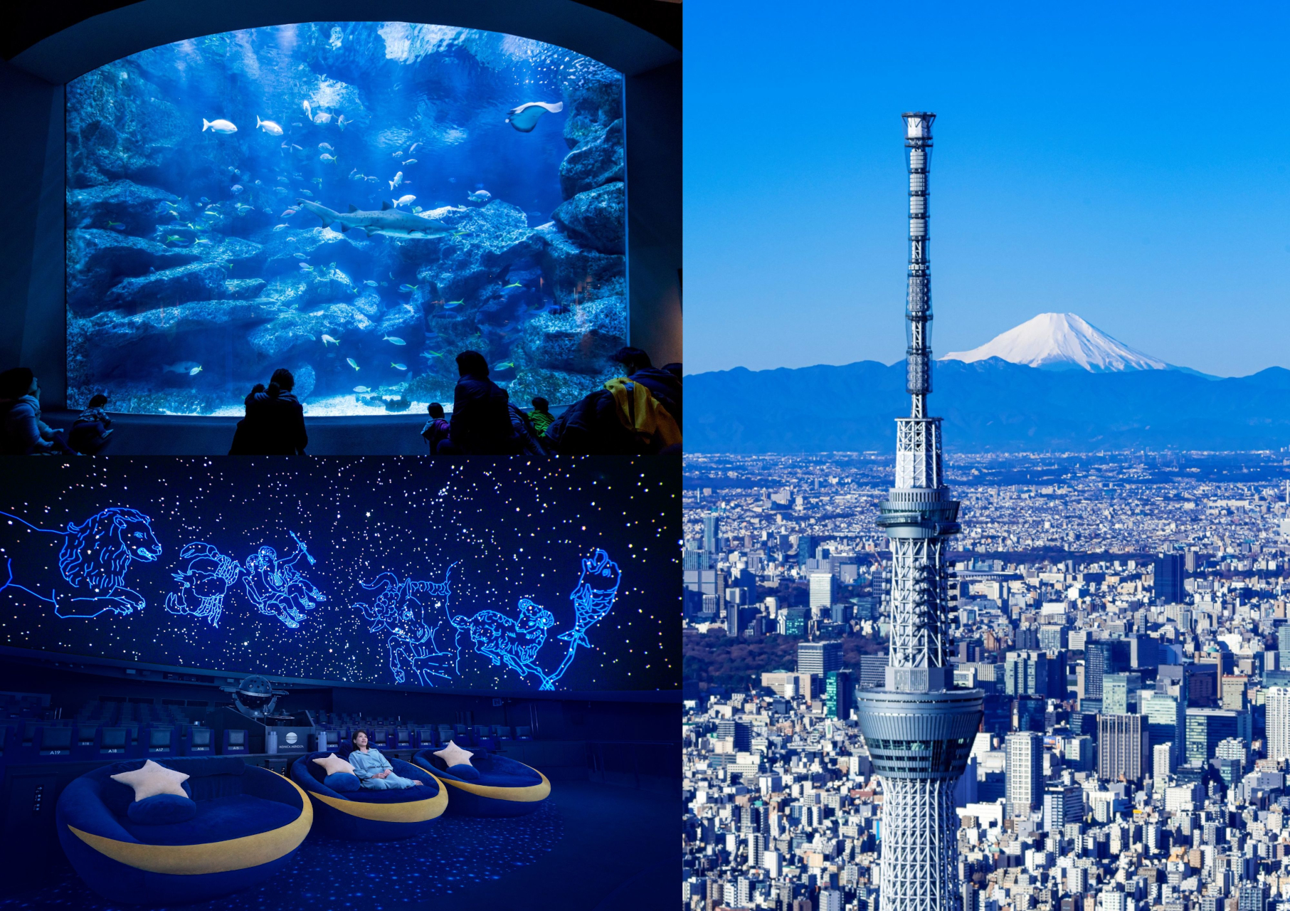 福袋は12月1日より順次販売（店舗により異なる）。写真は12月26日から数量限定で予約販売する「東京スカイツリータウン特別エンジョイパック」（大人1人4900円～）