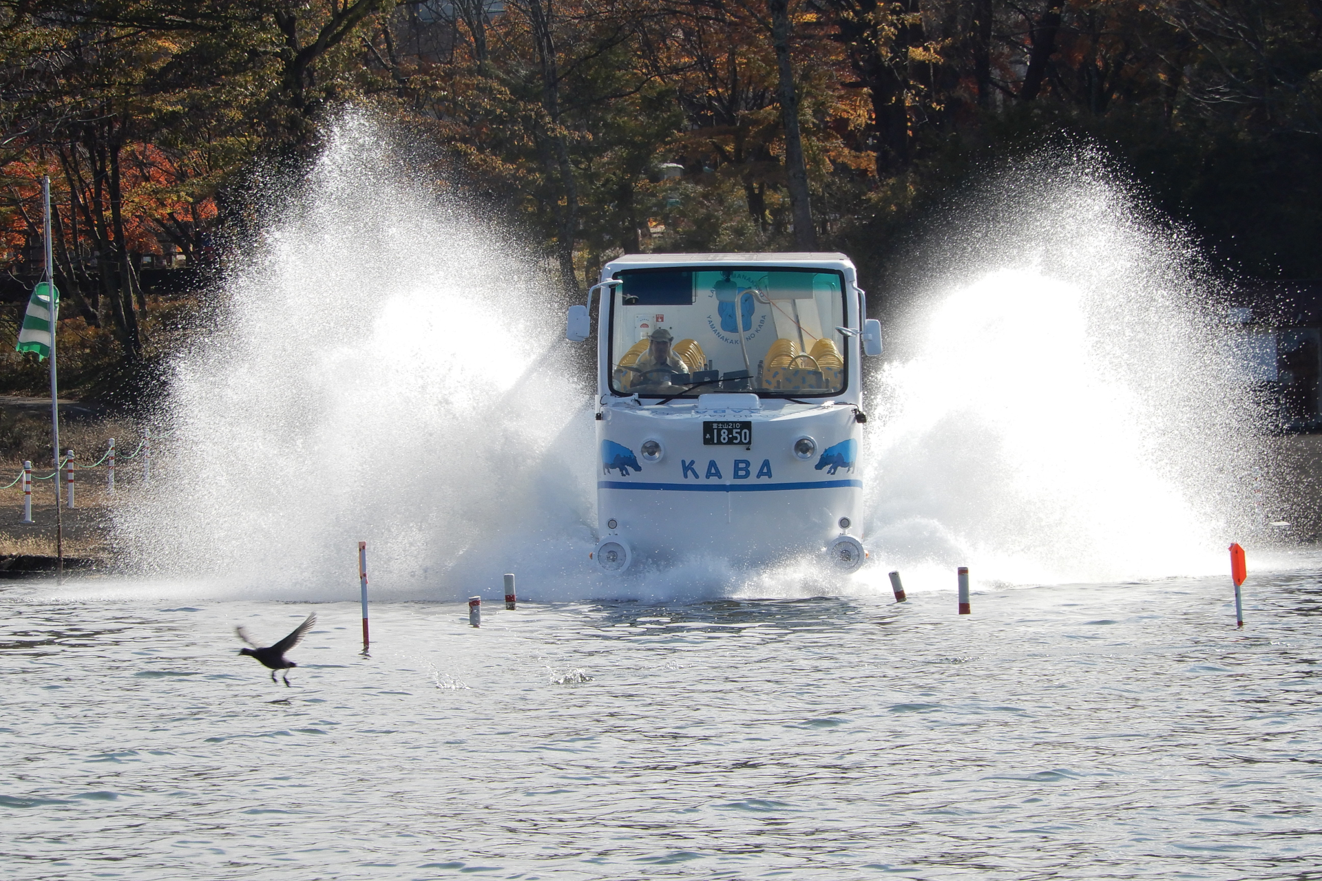 水陸両用のアトラクションバス「山中湖のKABA」
