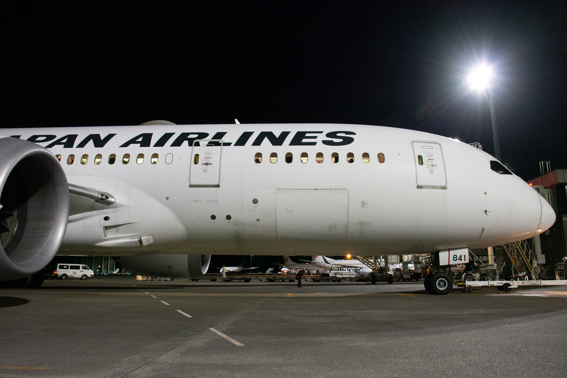 機材はボーイング 787-8型機（登録記号：JA841J）