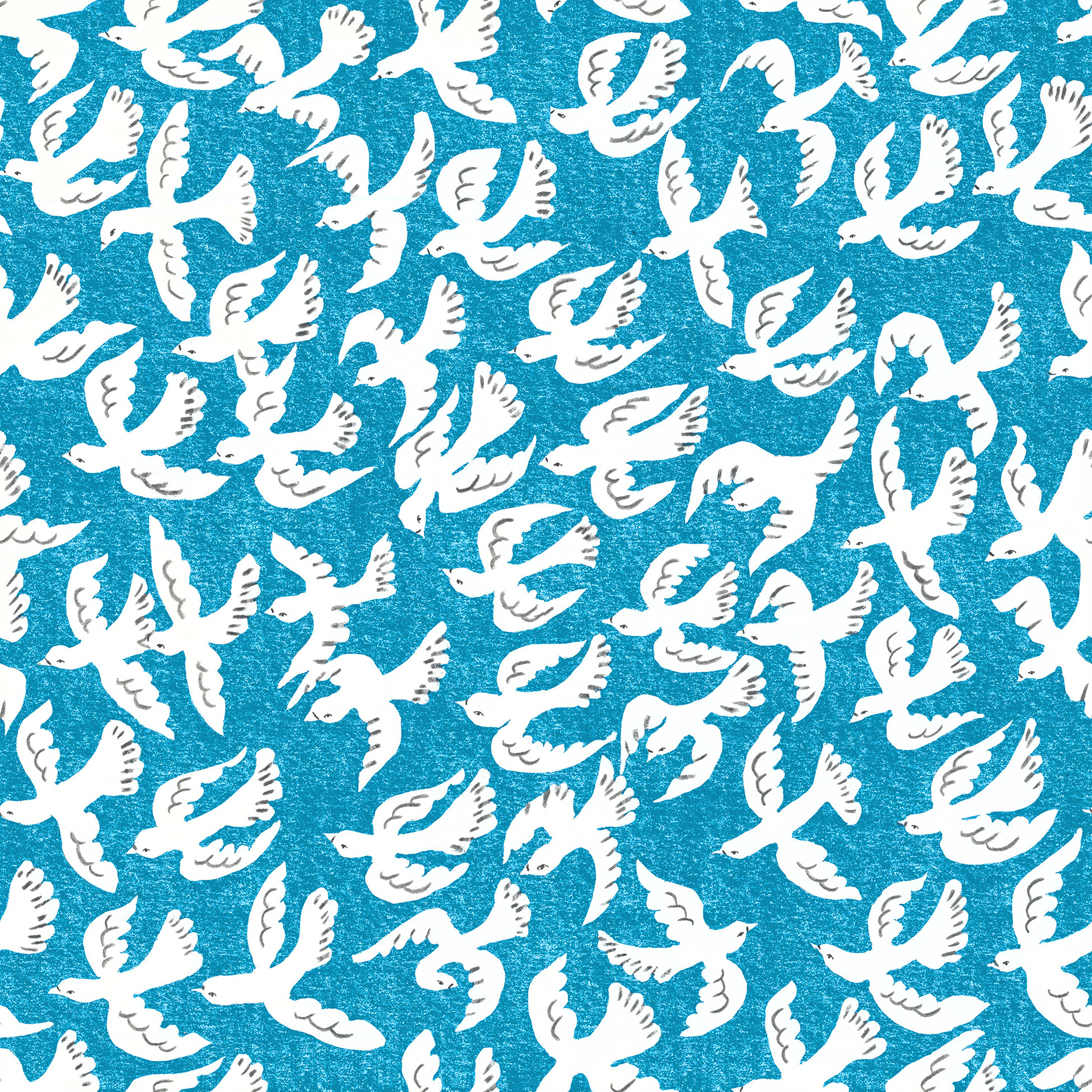 hope flight -希望飛行- スモーク