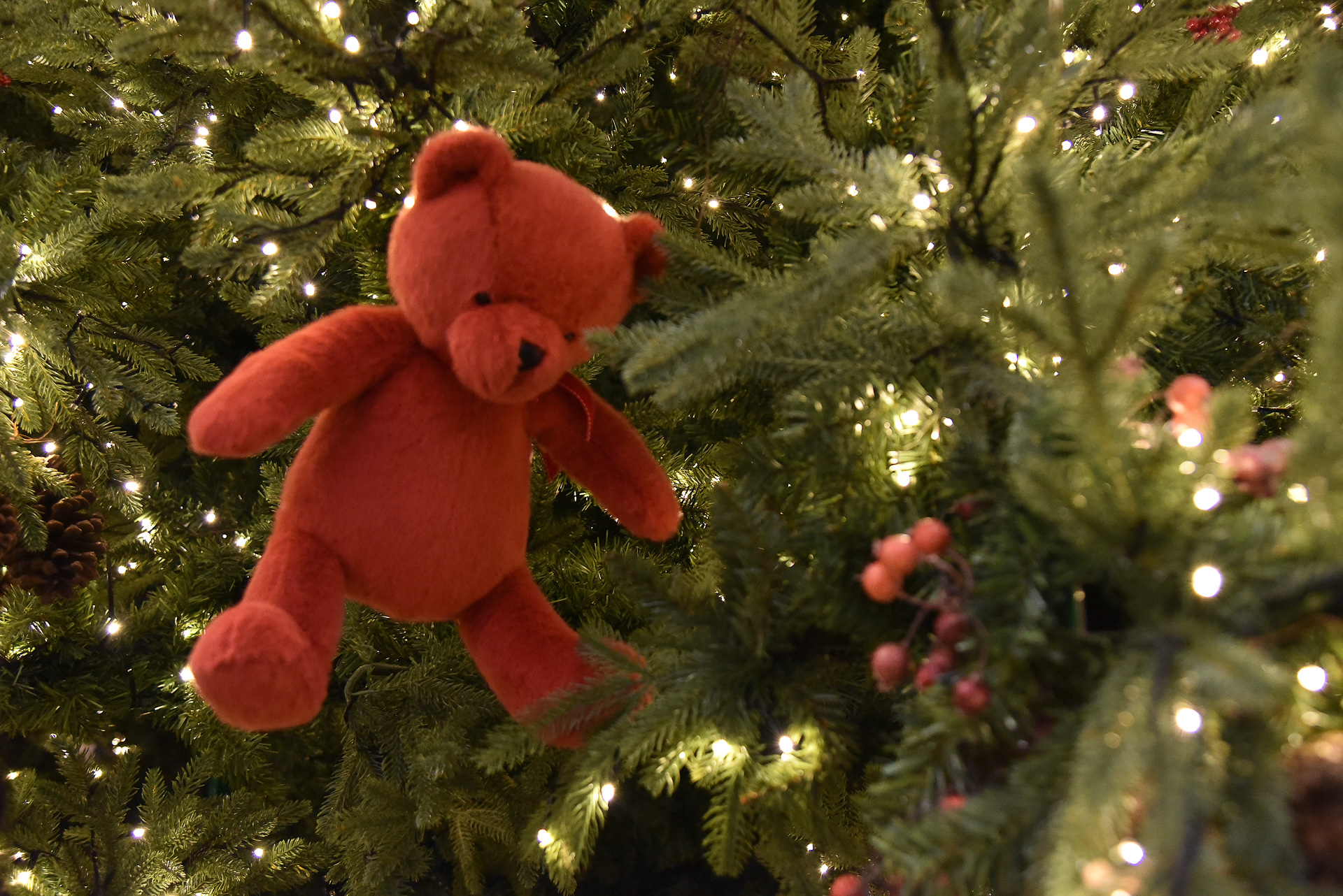 大きめベアがツリーにデコレーションされ、映えスポットに