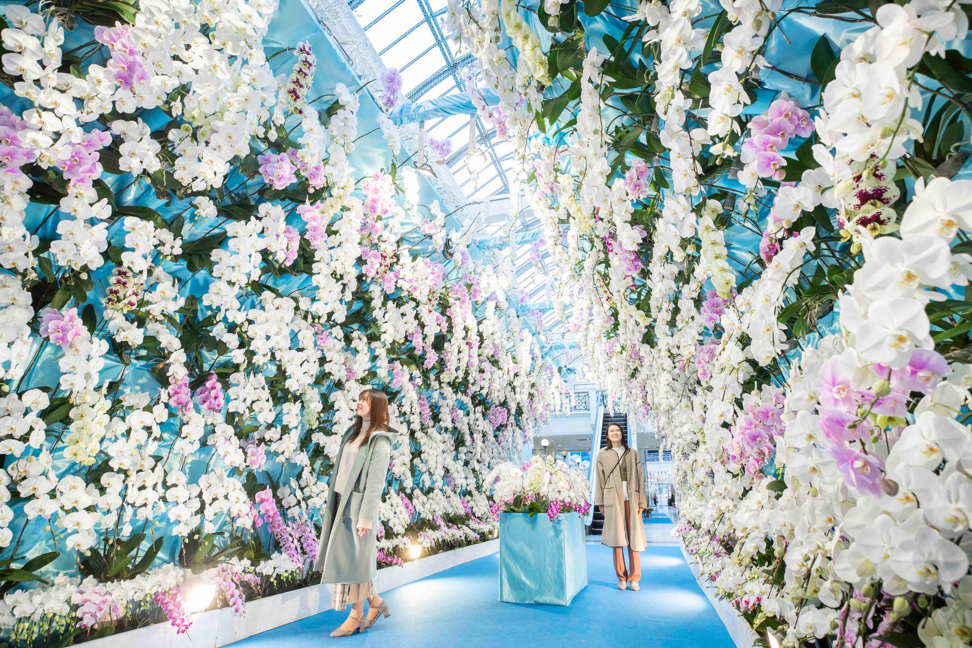 白銀のフラワーパサージュ