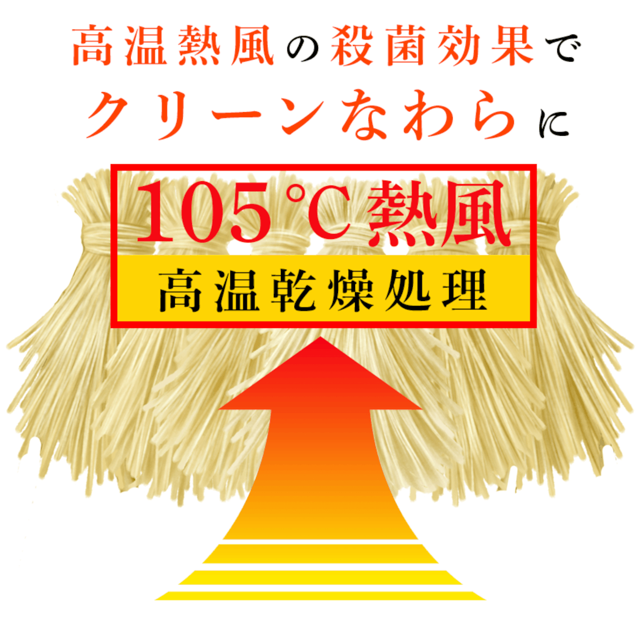 105℃の熱風乾燥処理でムラのない安定した乾燥状態にしている