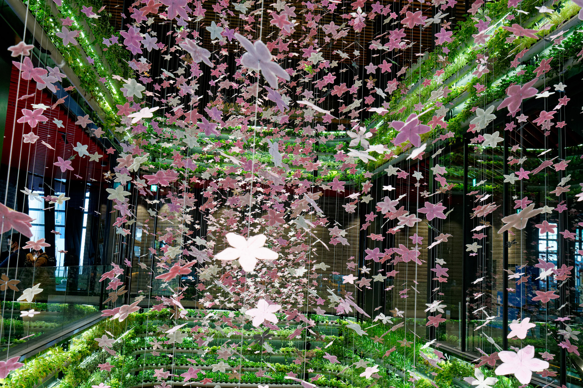 桜の花が舞っているかのような演出