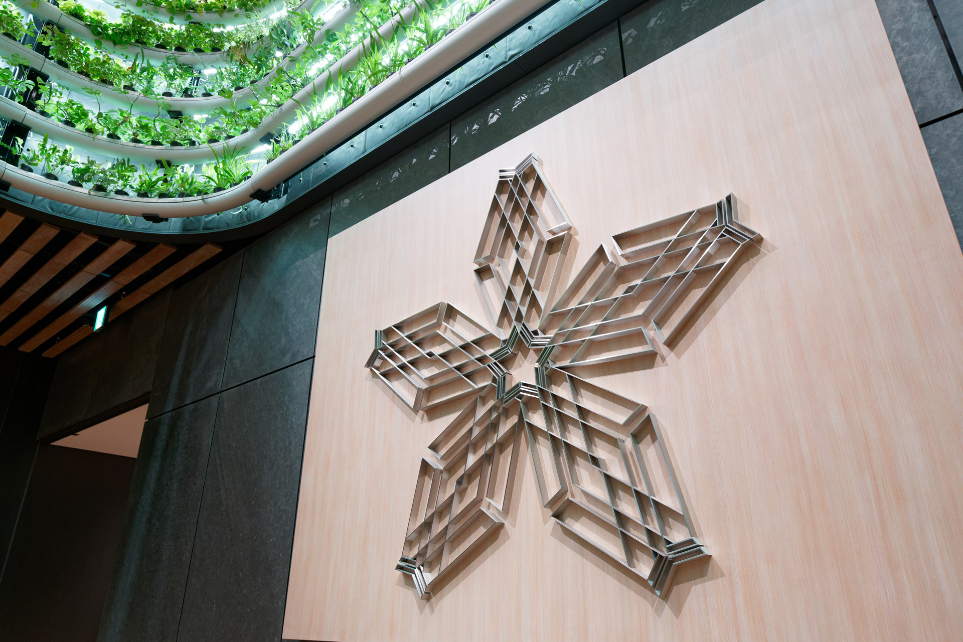 「HANASAKA」ロゴはヤンマーの「FLYING-Y」ロゴの組み合わせでできあがっている