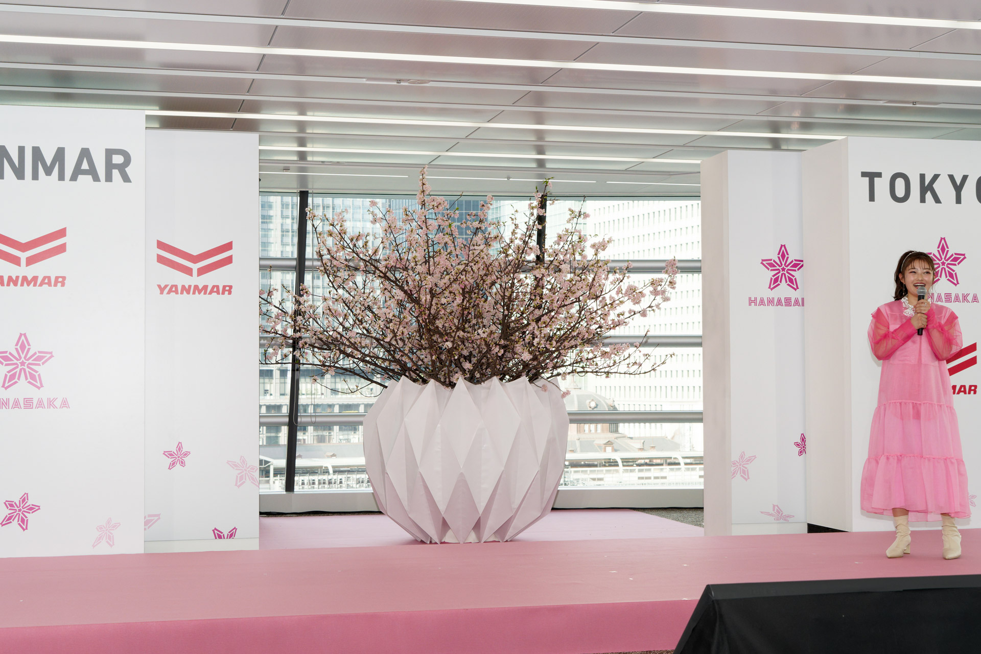 「開花宣言」すると、背後のパネルが左右に割れて本物の桜の木が出現