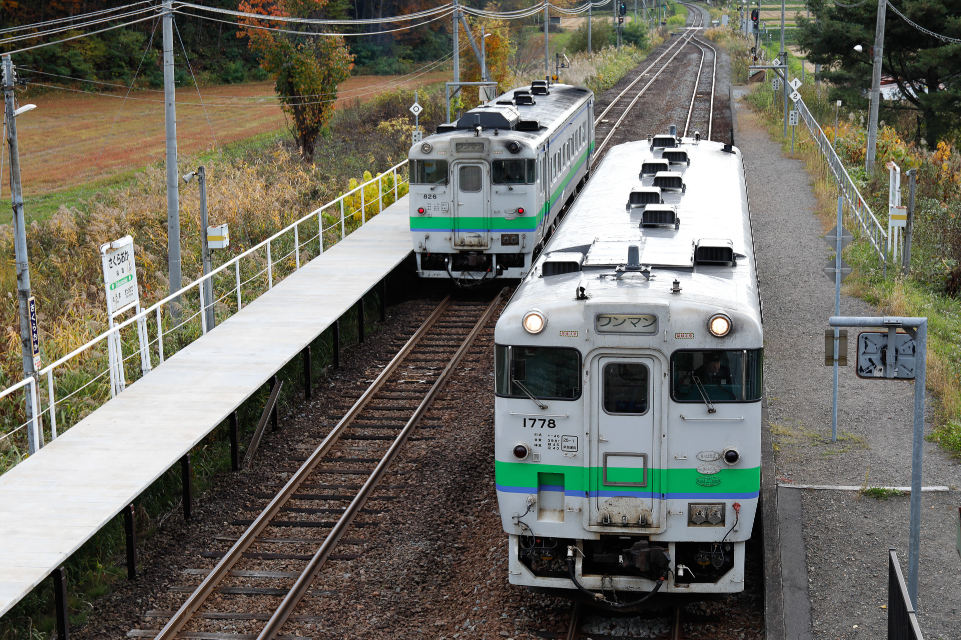 石北本線の桜岡駅における普通列車同士の交換。右が上川行き、左が旭川行き。奥の方にある分岐器を見ると、左側の線路が直線側になっている様子が分かる。駅舎は写真の右手にある