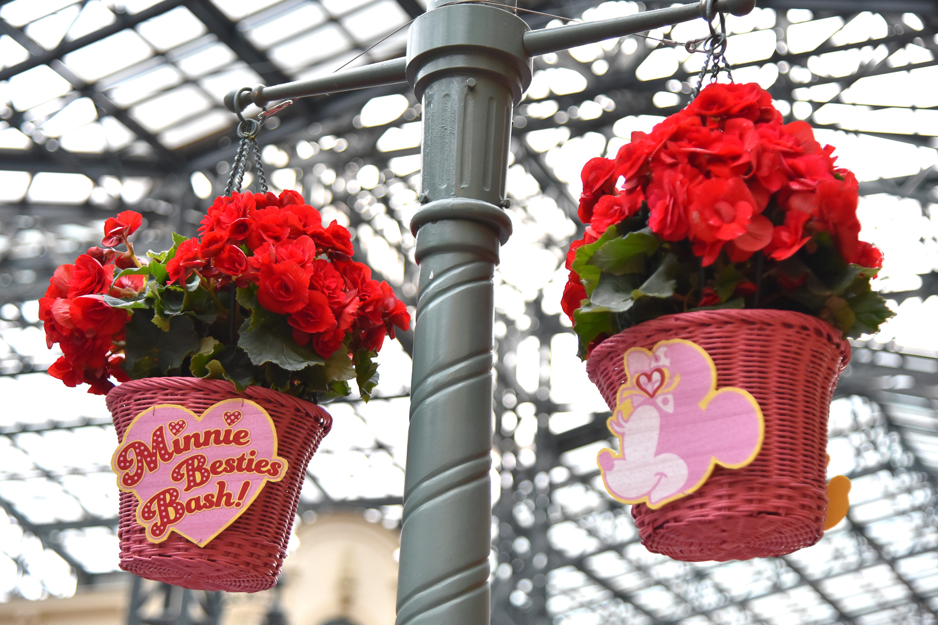 ハンギングプランツもミニー仕様に