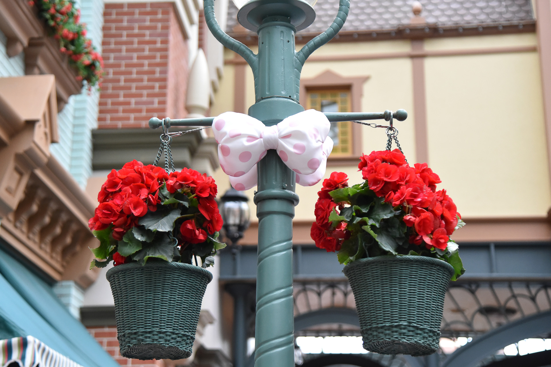 リボンと植栽を組み合わて自撮り写真を撮ると……！