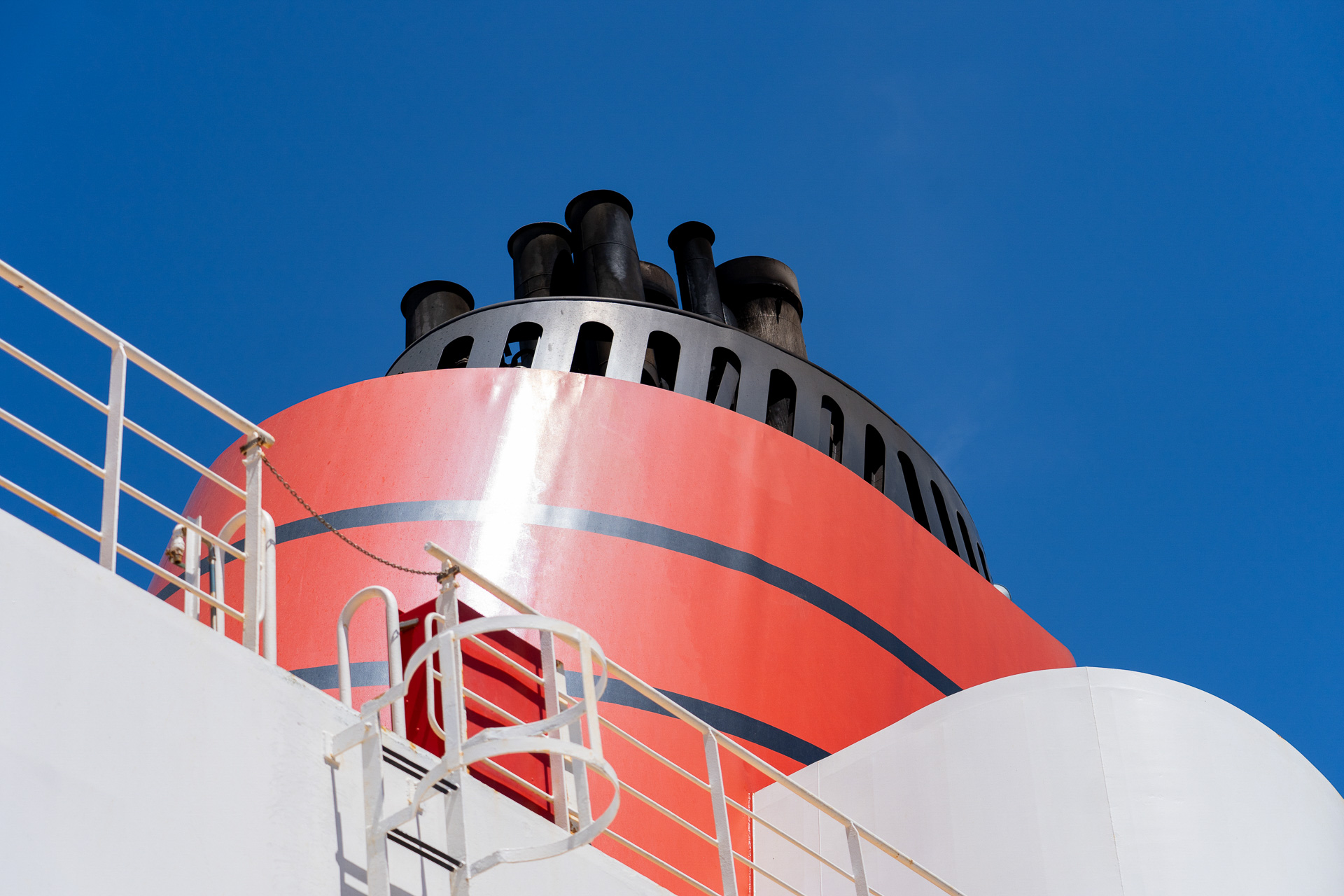 近くで見上げるとホント大きい！