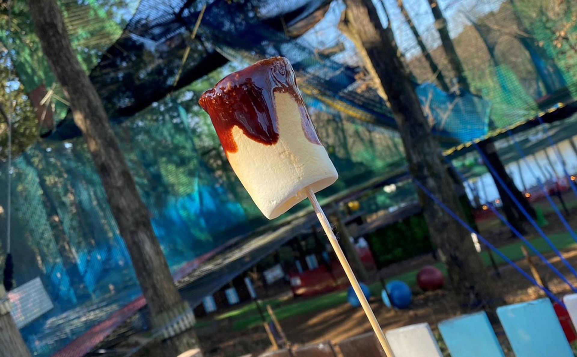 焼きマシュマロ体験でチョコソースかけ放題