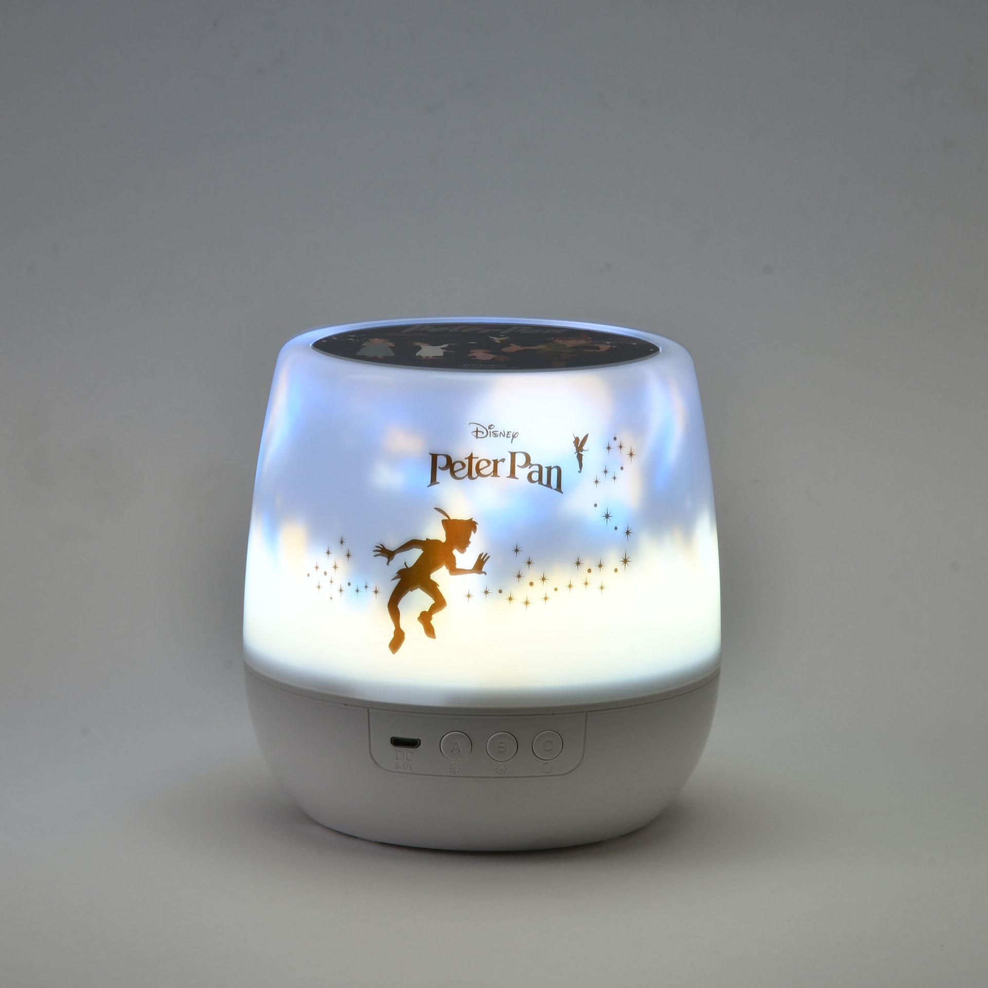 ルームプロジェクション（4400円）