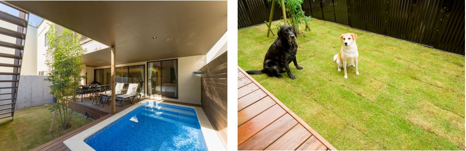 ペットと泊まれる客室も