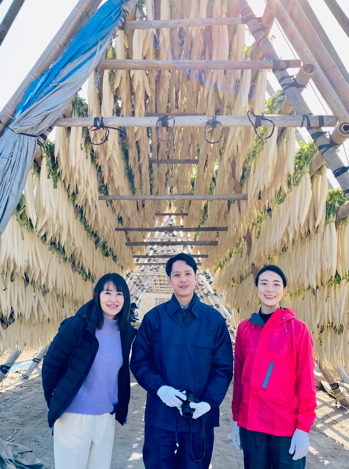 JALふるさとアンバサダーに地域の取り組みを聞いた。回答者は宮崎県JALふるさとアンバサダーの吉田美穂さん