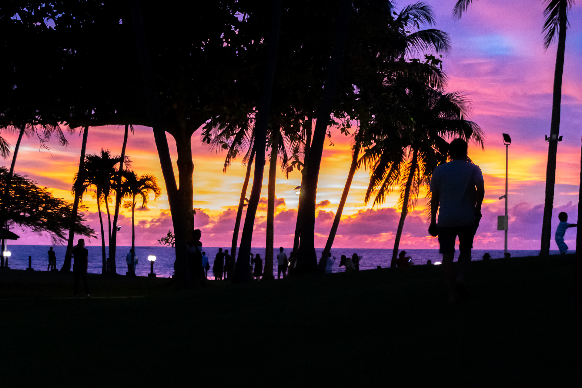 マジックアワーになると絶妙な色合いになってくれた。南国という景色にとっても癒される