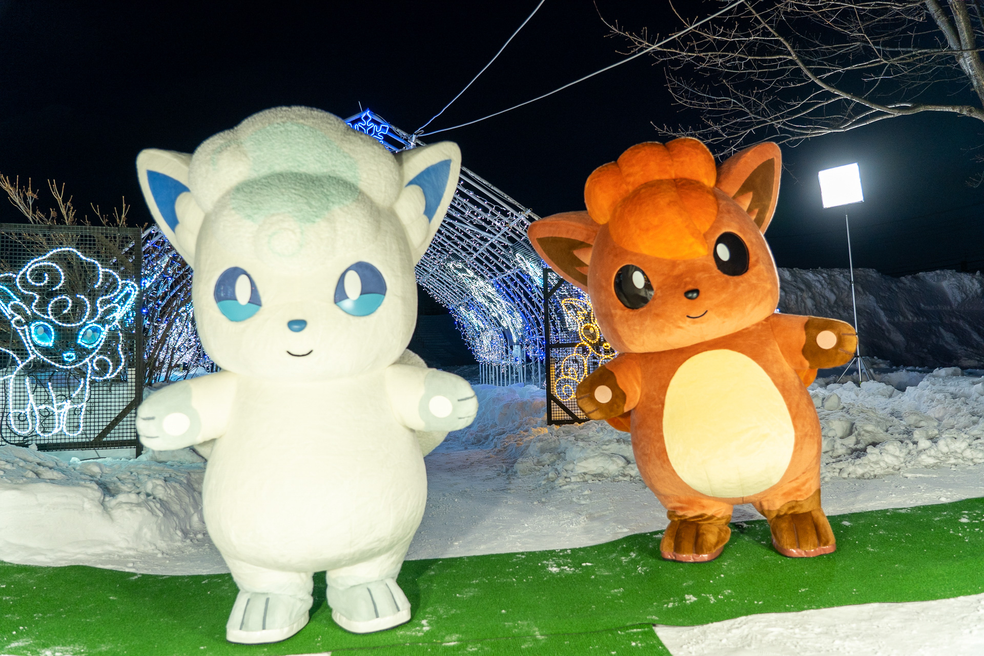 有数の豪雪地・北海道らしいポケモンとして「推しポケモン」に選ばれているアローラロコン（左）とロコン（右）