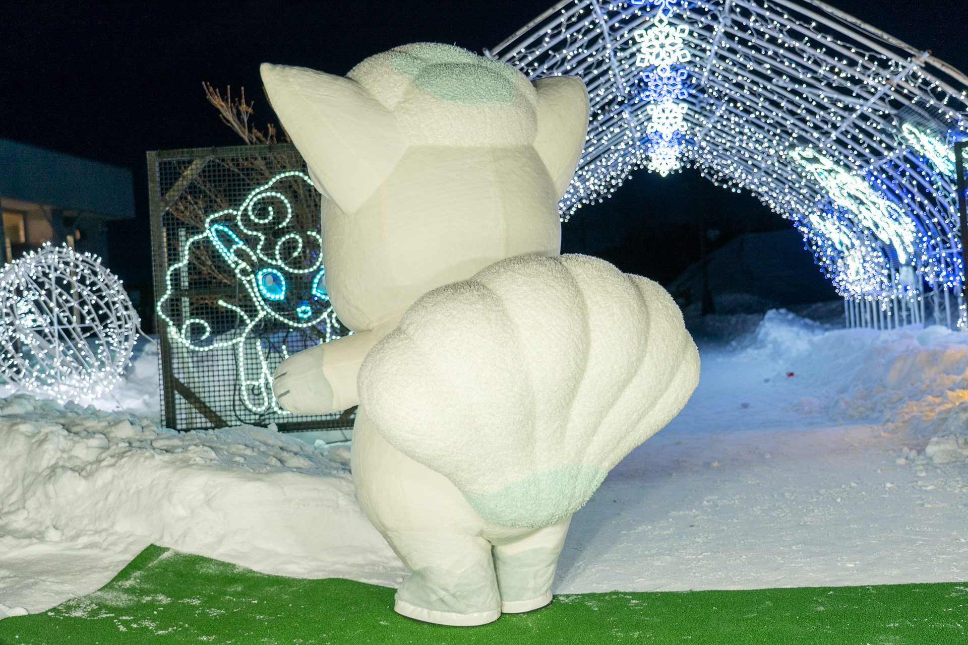 アローラロコンは口からマイナス50℃の息を吐いて、あらゆるものを凍らせることができるそう！