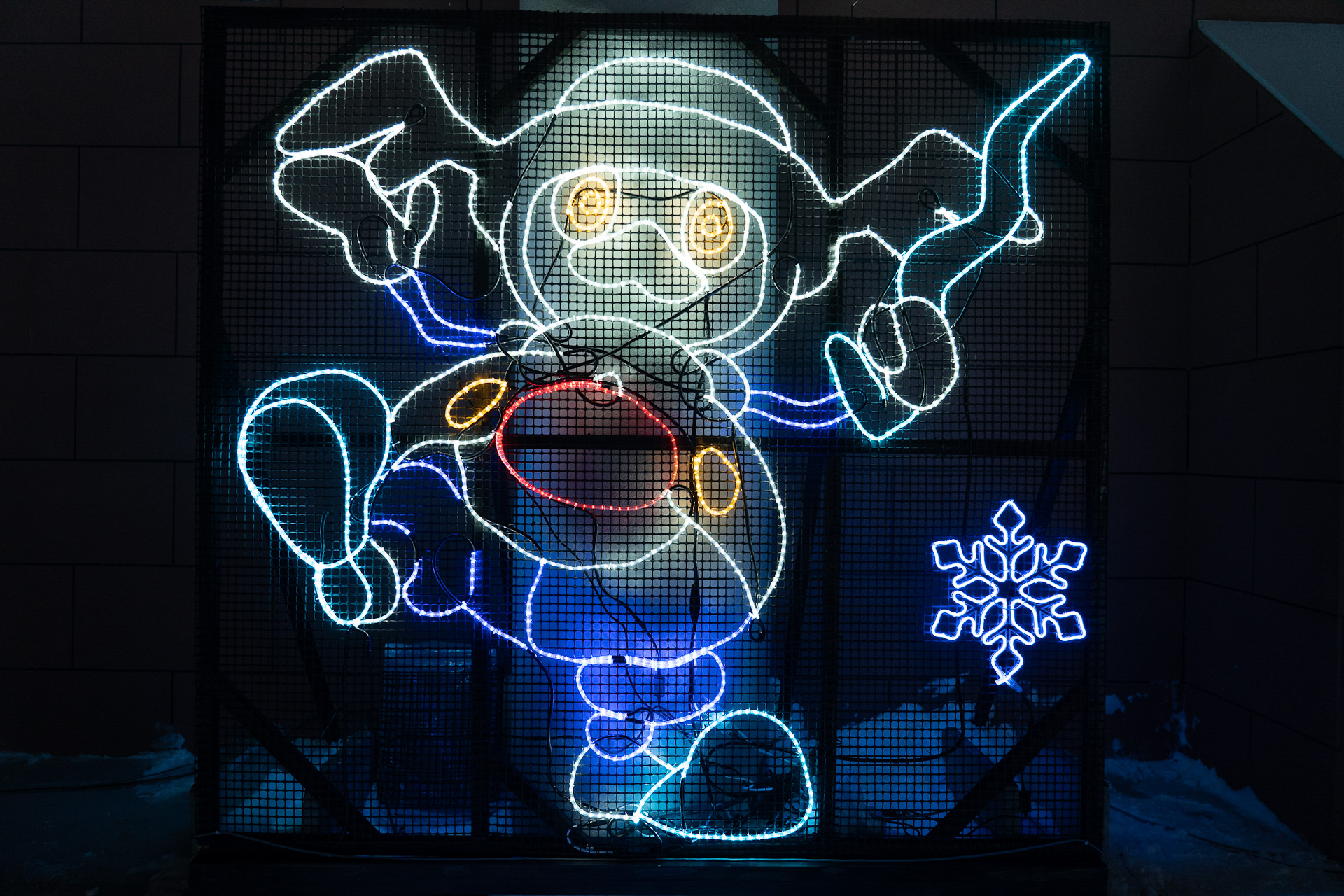 ポケモンいろいろ