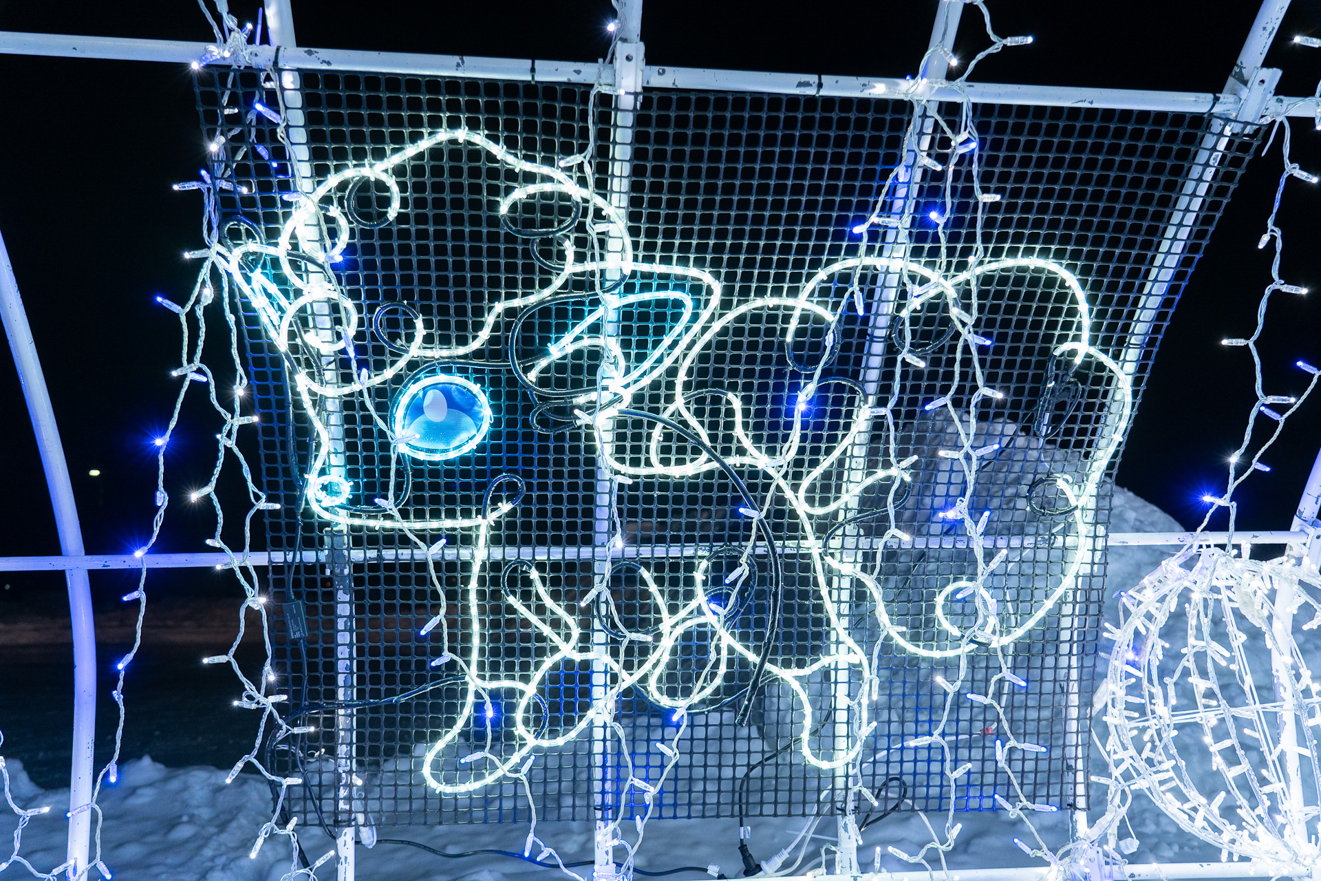 アローラロコンは7パターンあるそうですが、これかな？