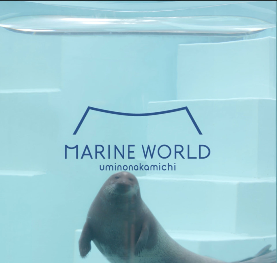 海時間のマリン　除籍 4/24(金) 7,500DWT型石灰石運搬船が竣工致しました。 – SAIKI