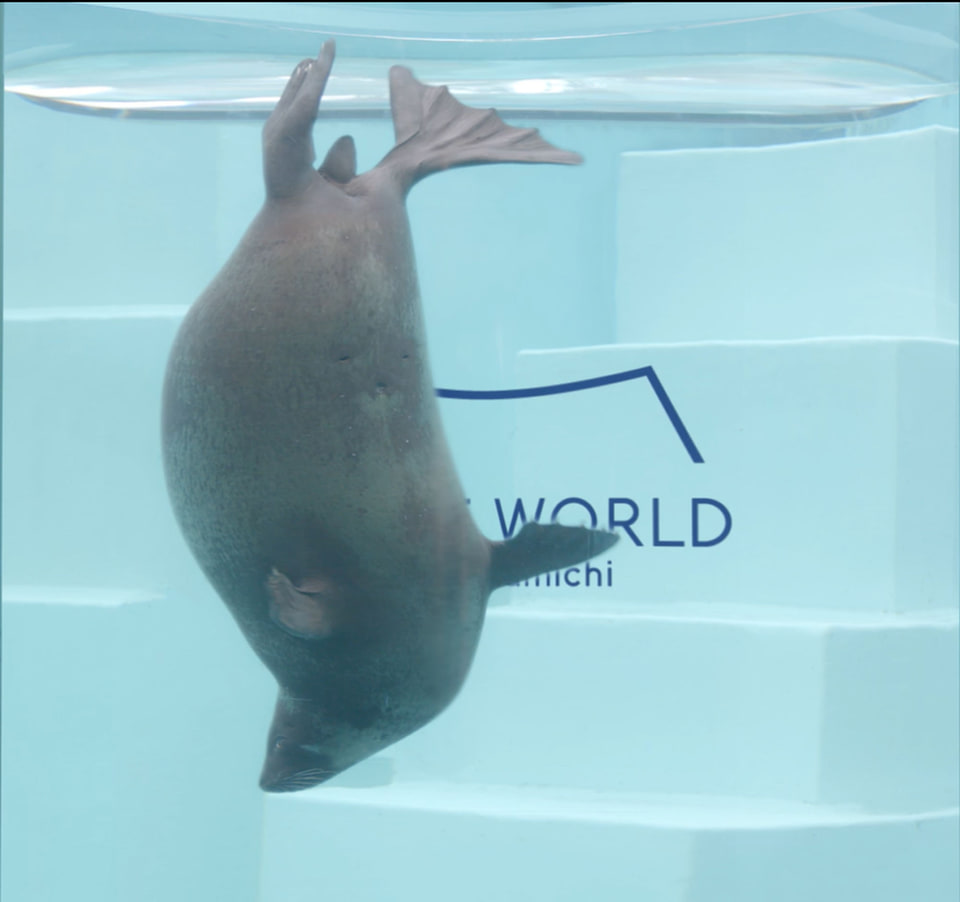 海時間のマリン　除籍 4/24(金) 7,500DWT型石灰石運搬船が竣工致しました。 – SAIKI