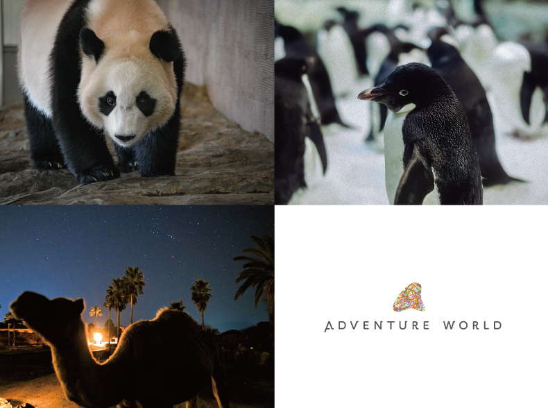 アドベンチャーワールドは羽田～南紀白浜線で夕方到着した人限定のナイトツアーを実施する