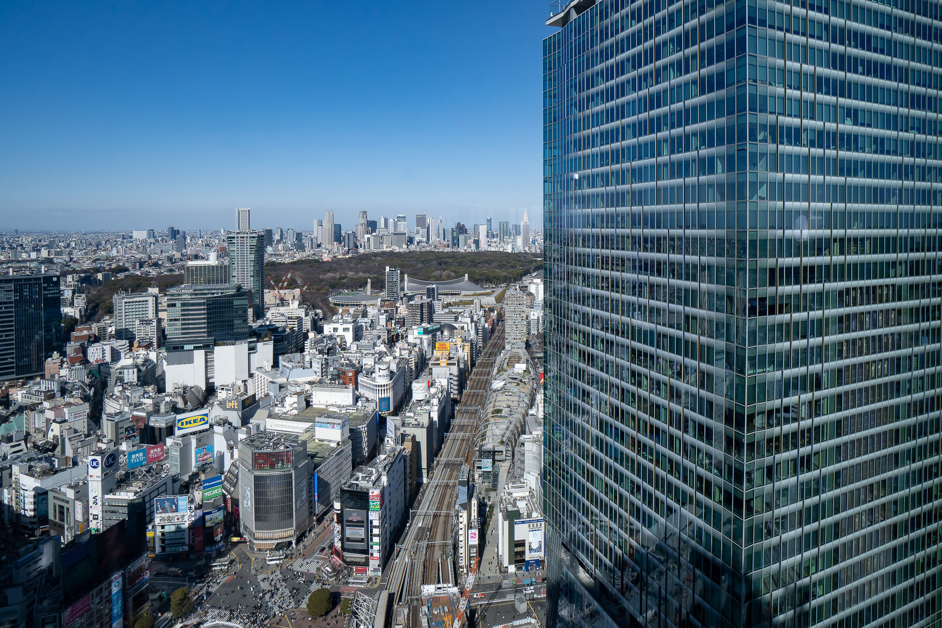 少し遠方を見たところ。渋谷スクランブルスクエアの左下に渋谷スクランブル交差点が、奥には代々木公園が見える