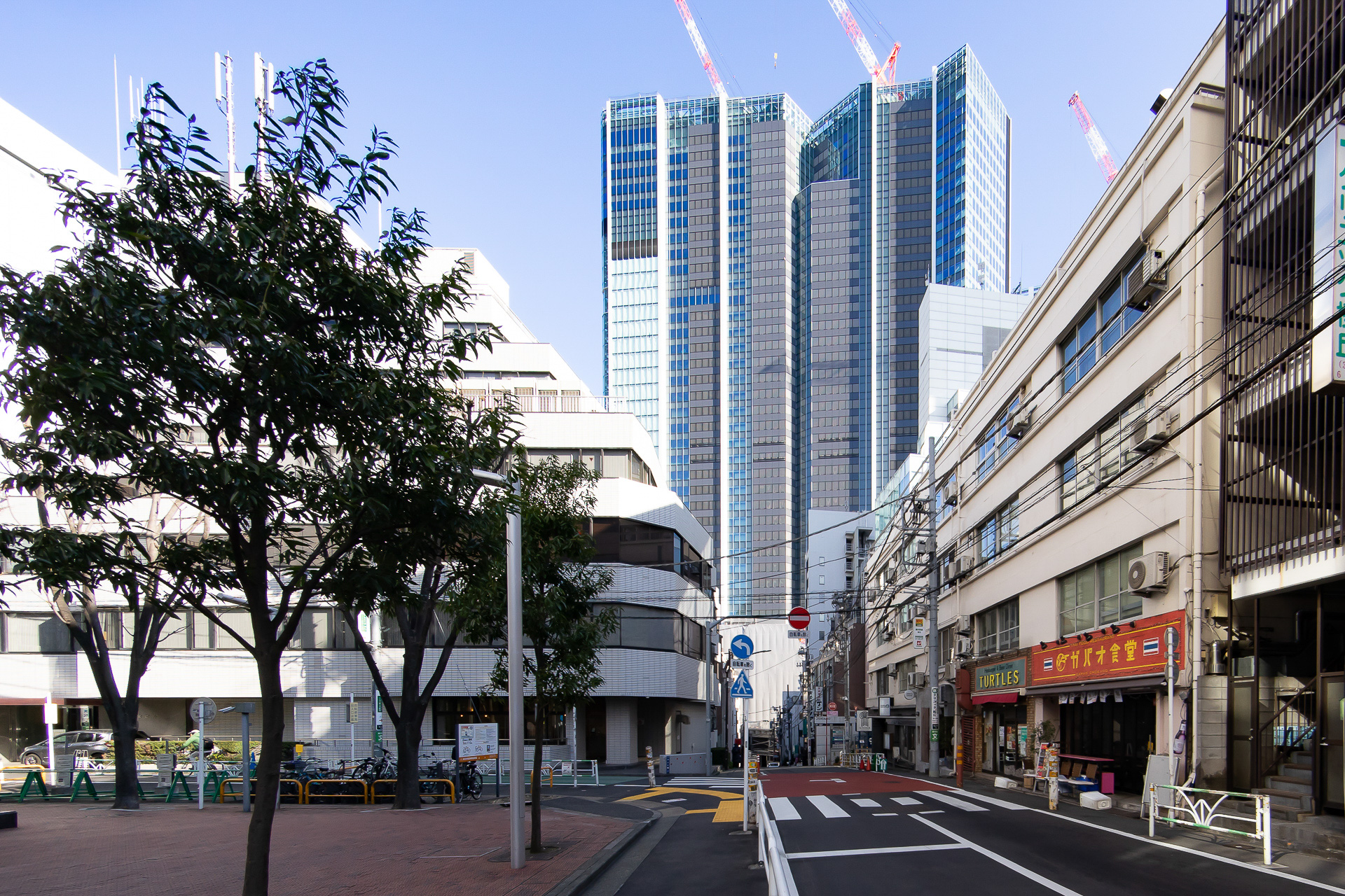 こうやって見ても高低差が急なことが分かる