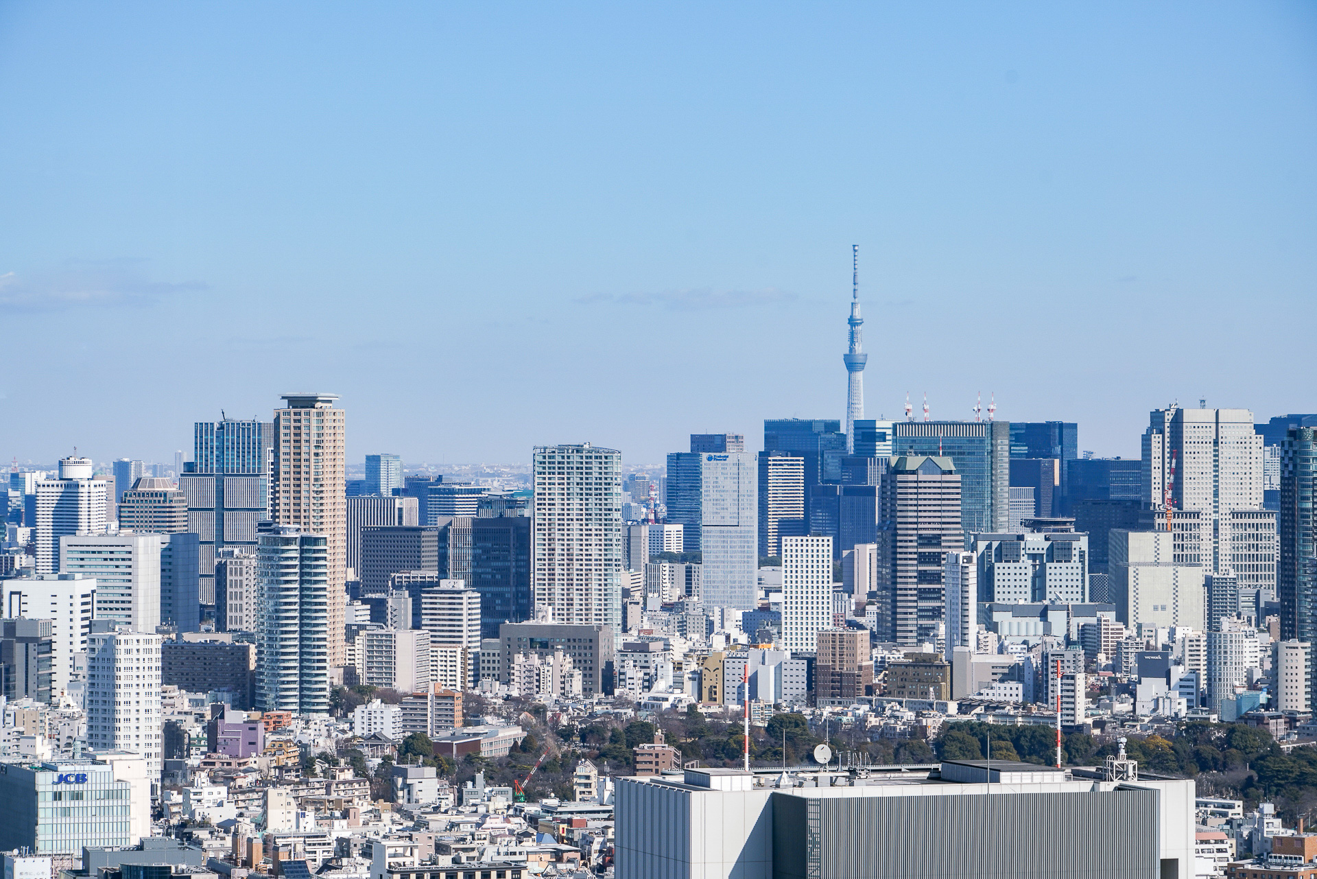 遠くに東京スカイツリーが見えている