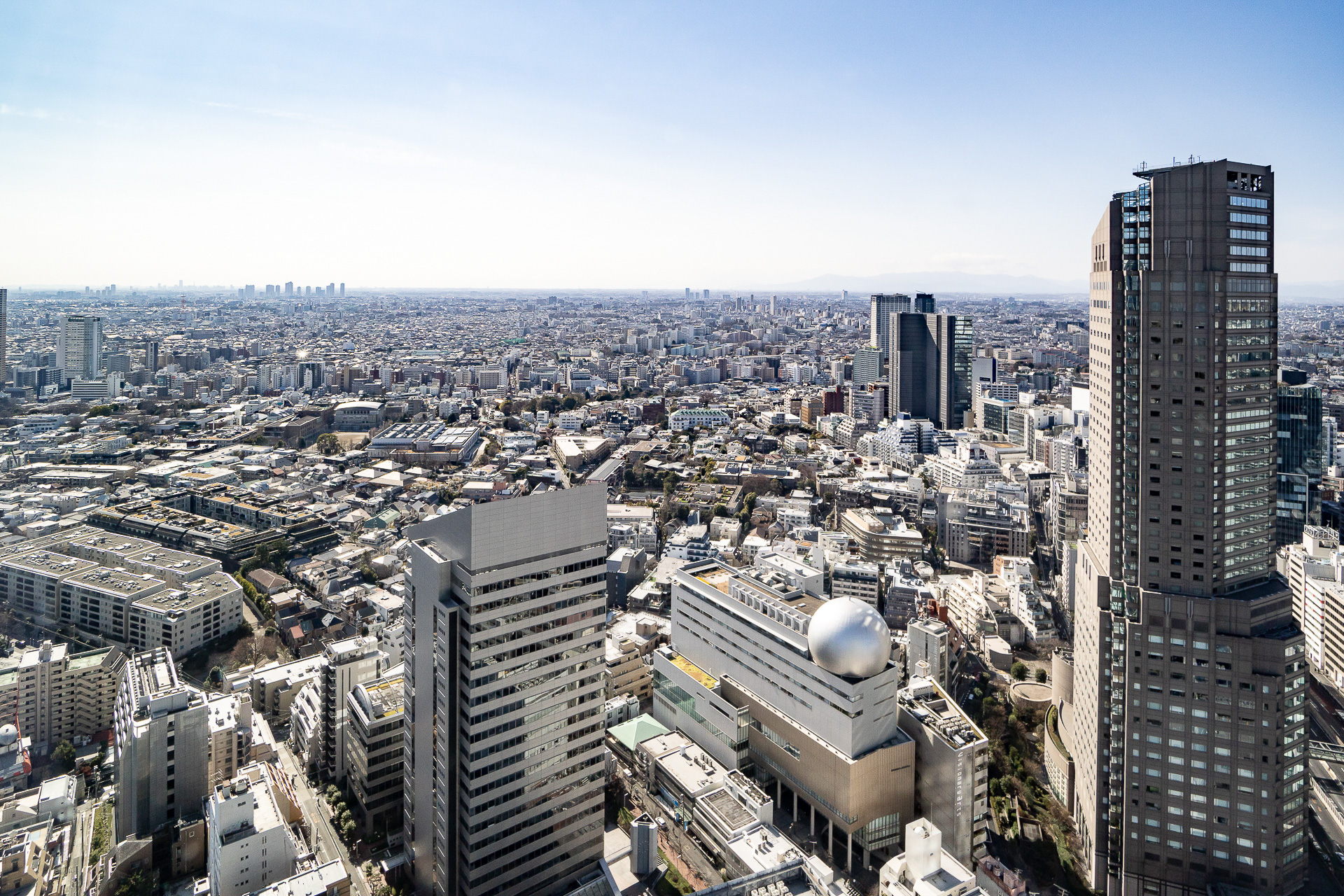 南側を見たところ。右のビルはセルリアンタワー