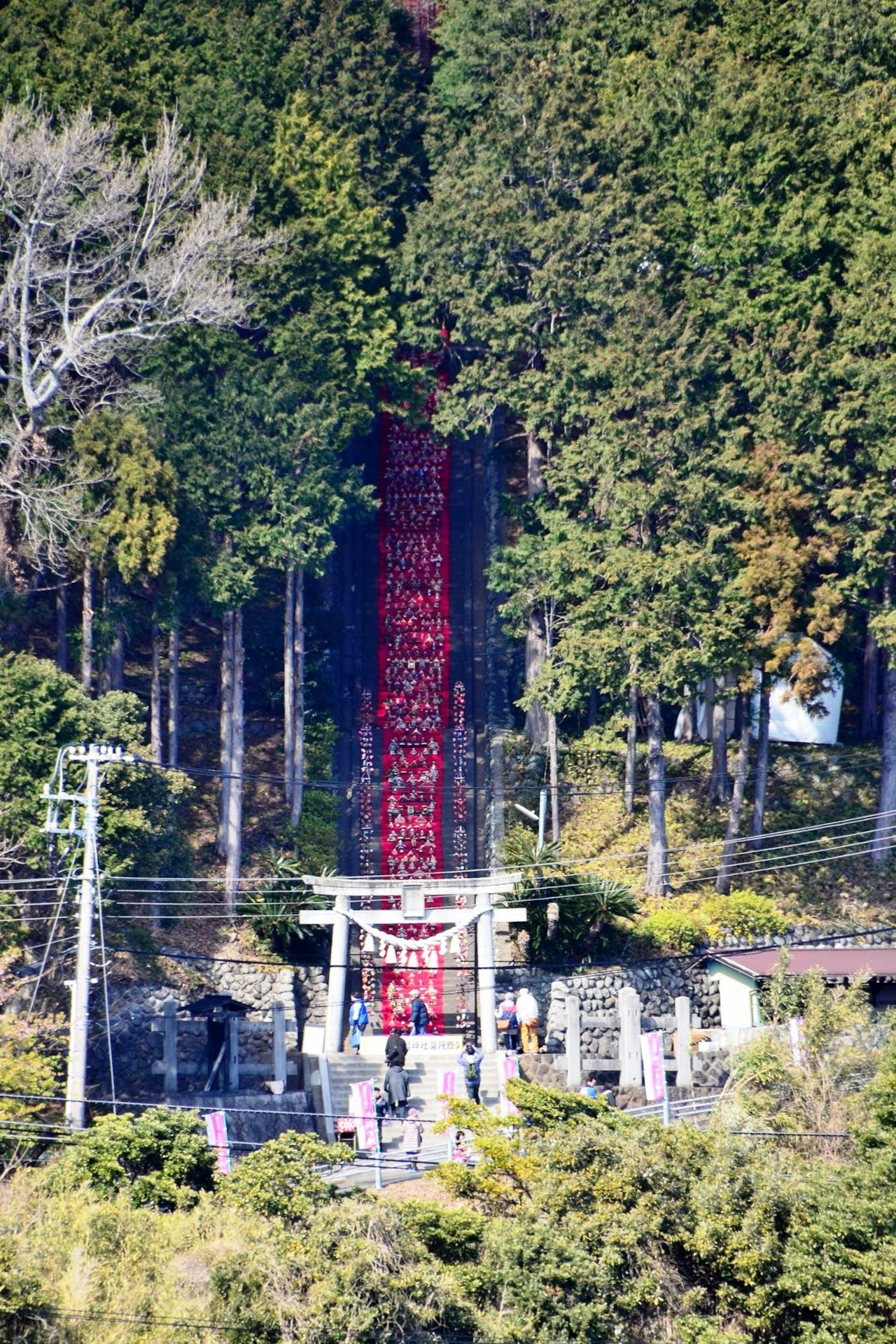 稲取は「雛のつるし飾り」の発祥