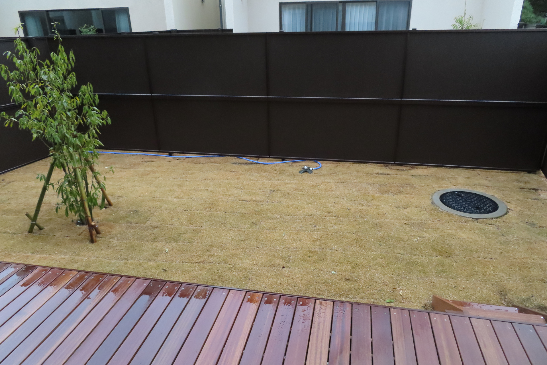 「深い海」がテーマのD103号室。ドッグランもある