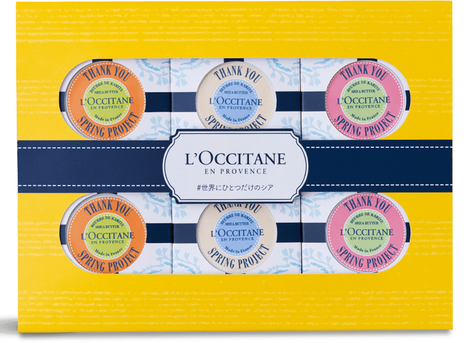 マイシア6個入り