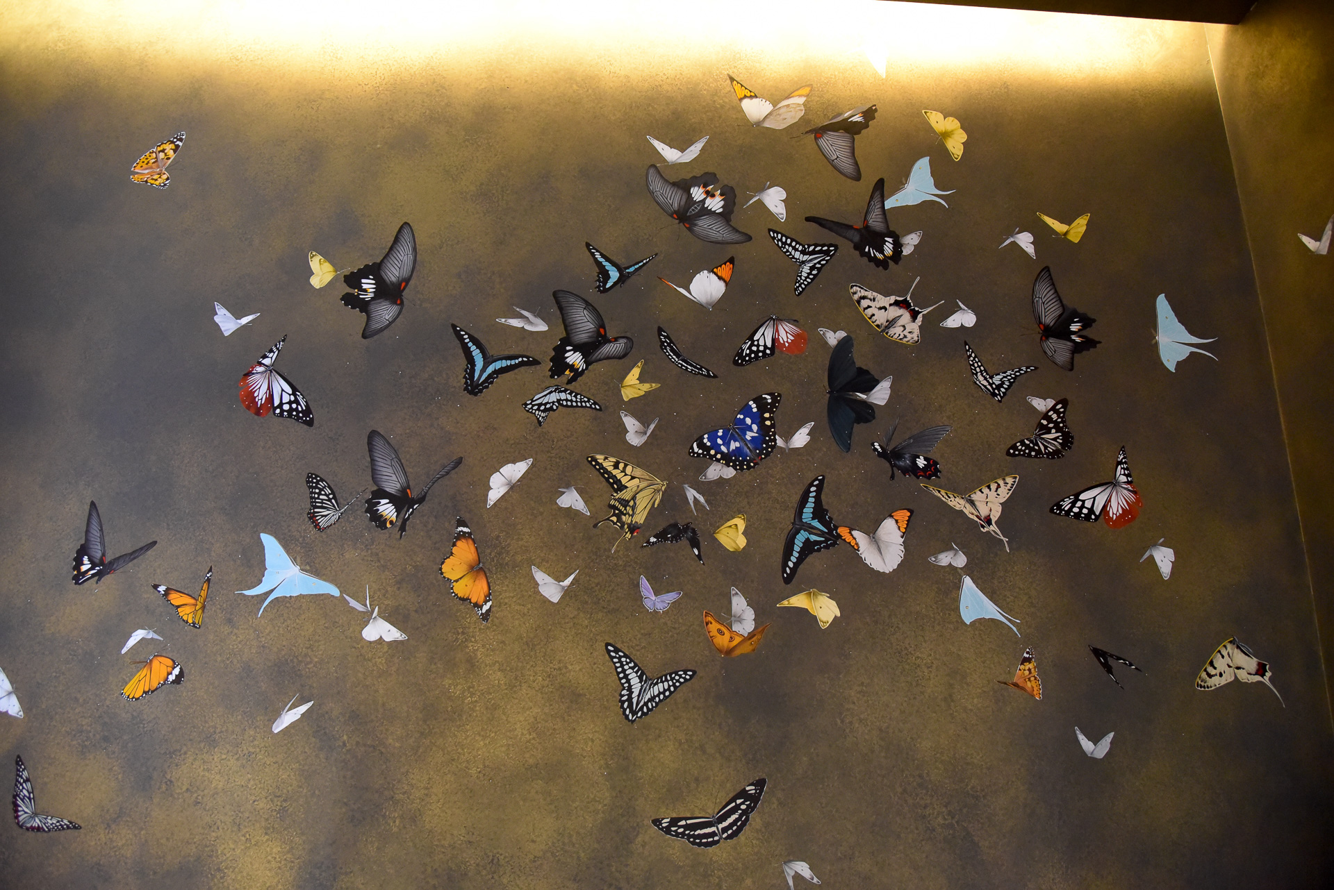 蝶のなかにはナガサキアゲハも静かに舞っています