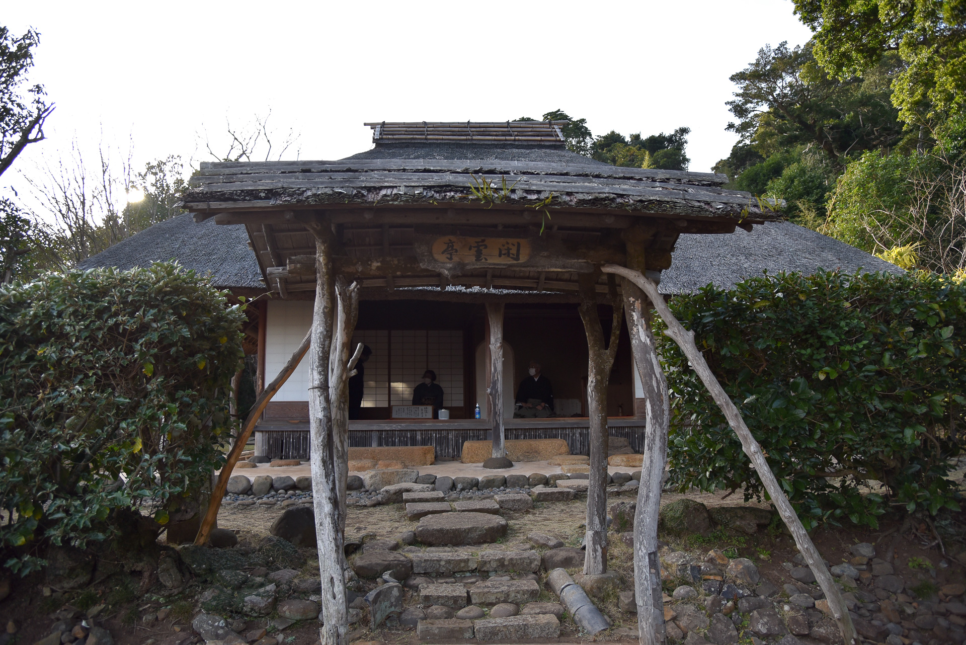 史料館に併設する「閑雲亭」で一服いただきます