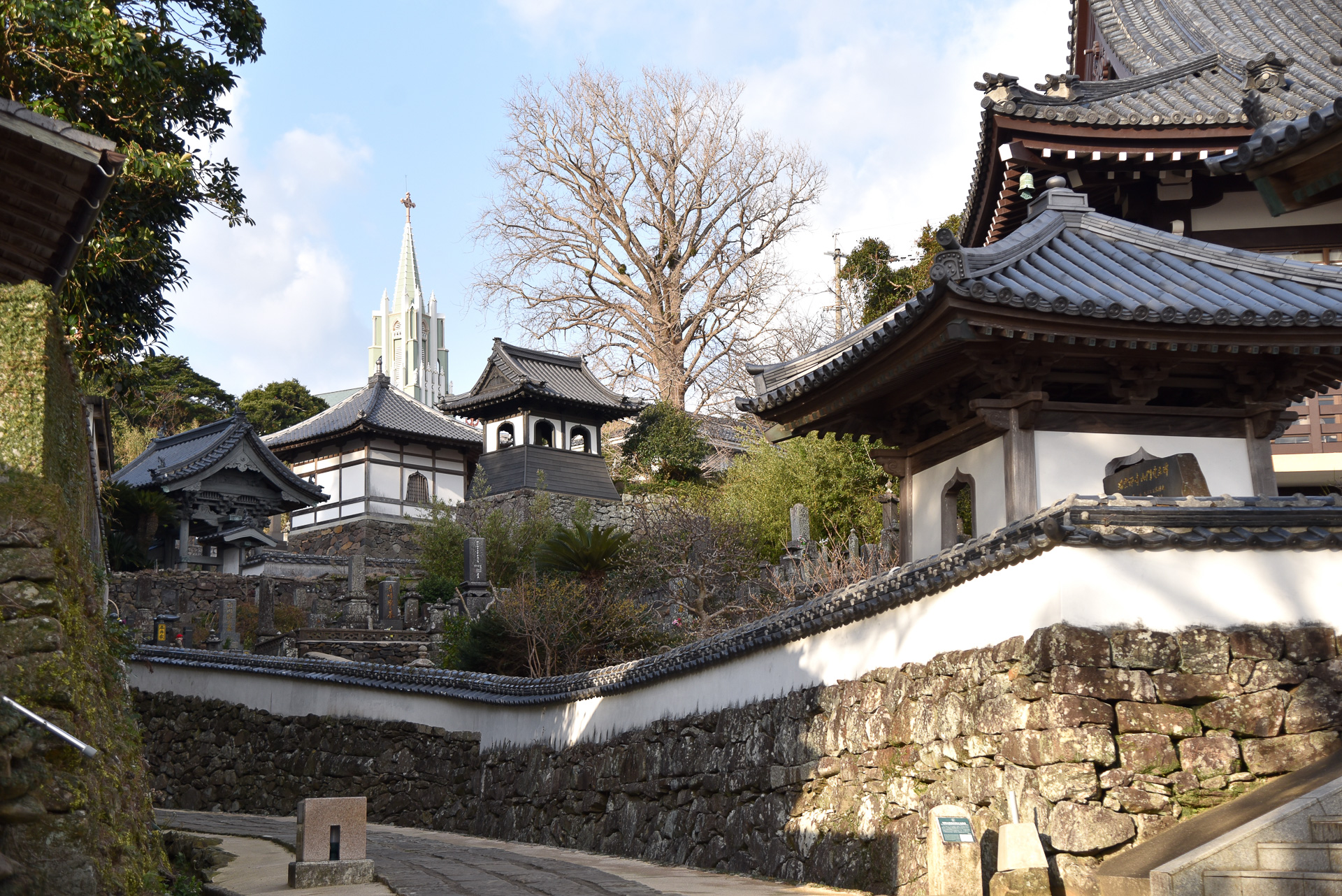 お皿に描かれていた長崎・平戸ならではの景色と出会えました