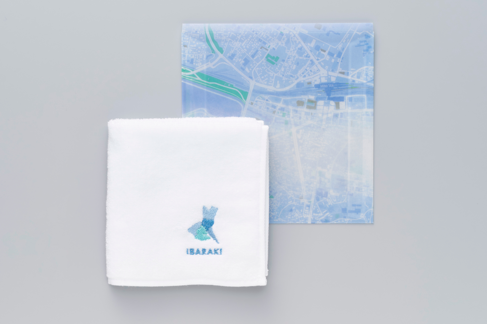 茨城県（ネモフィラ）