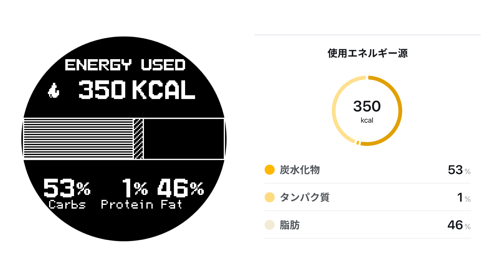 3大栄養素別の消費エネルギーを分析
