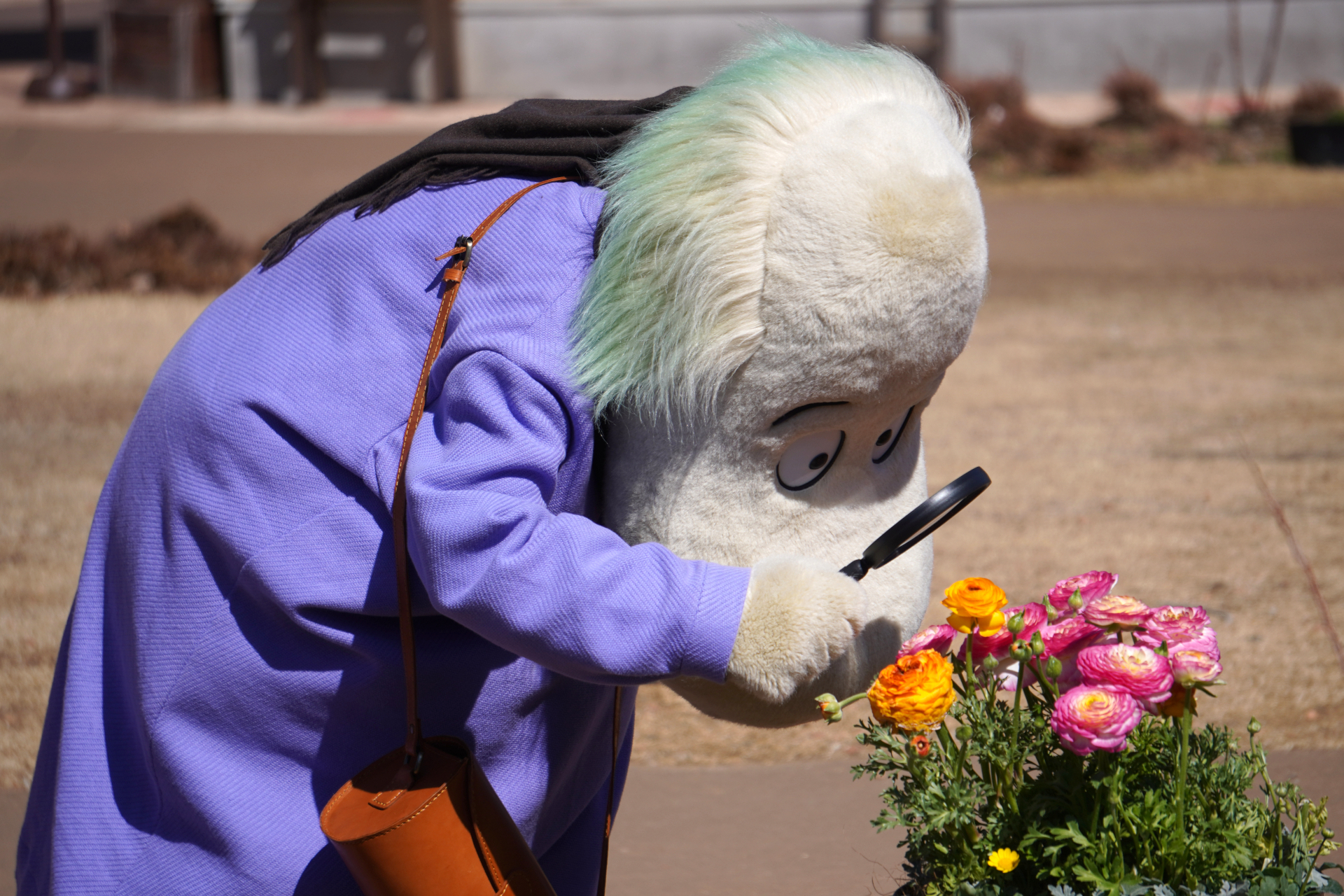 植物採集が好き