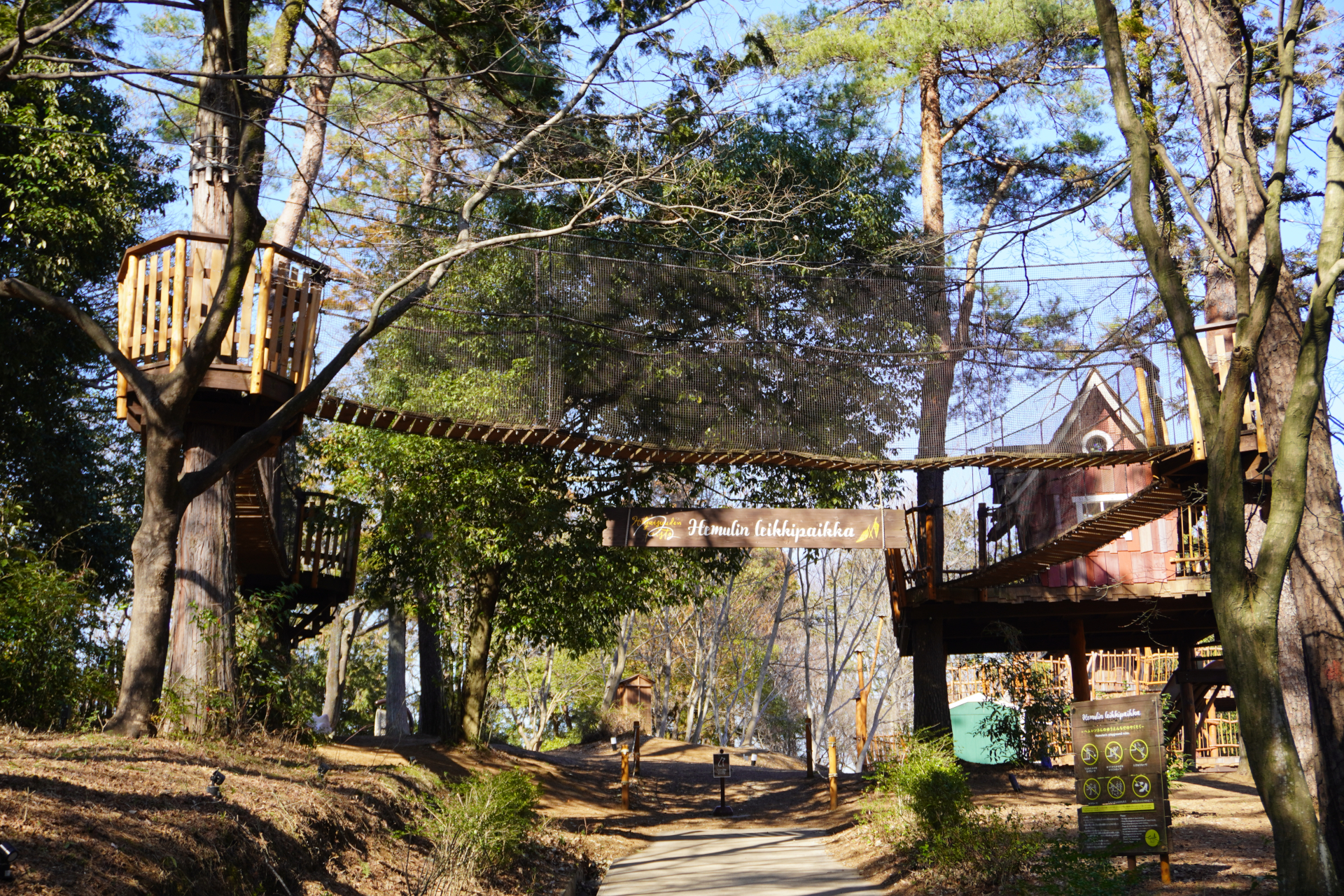 森のなかのアスレチック