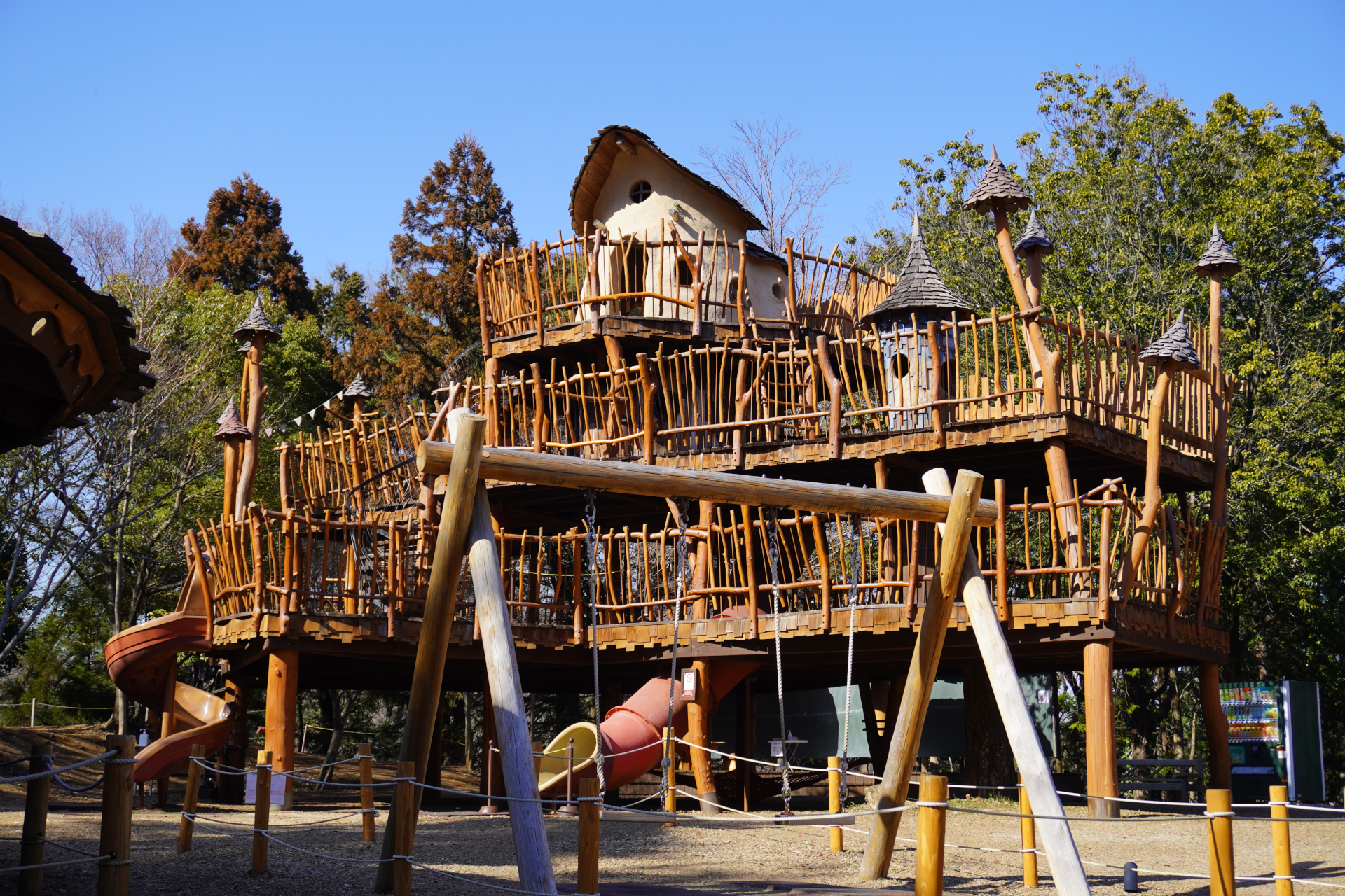 森のなかのアスレチック